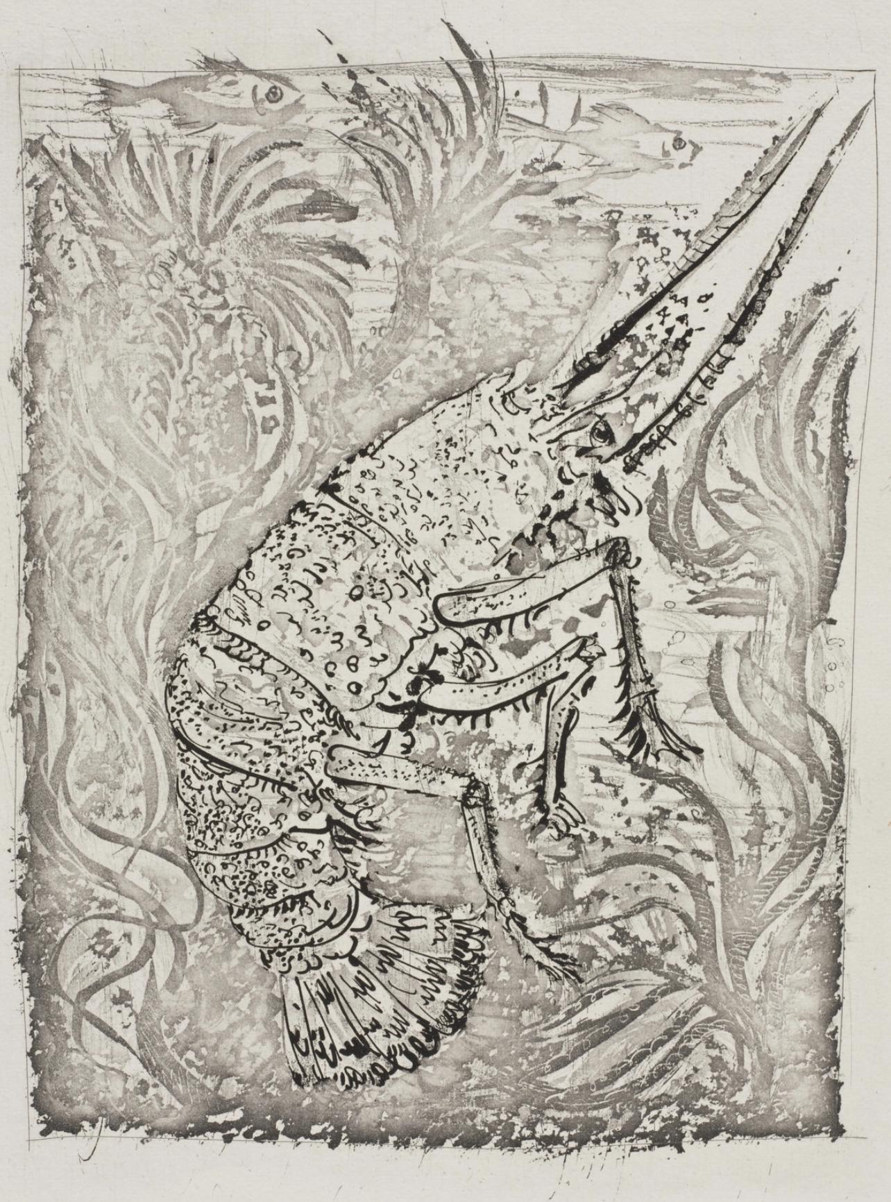 Picasso, La Langouste, Histoire naturelle (after)