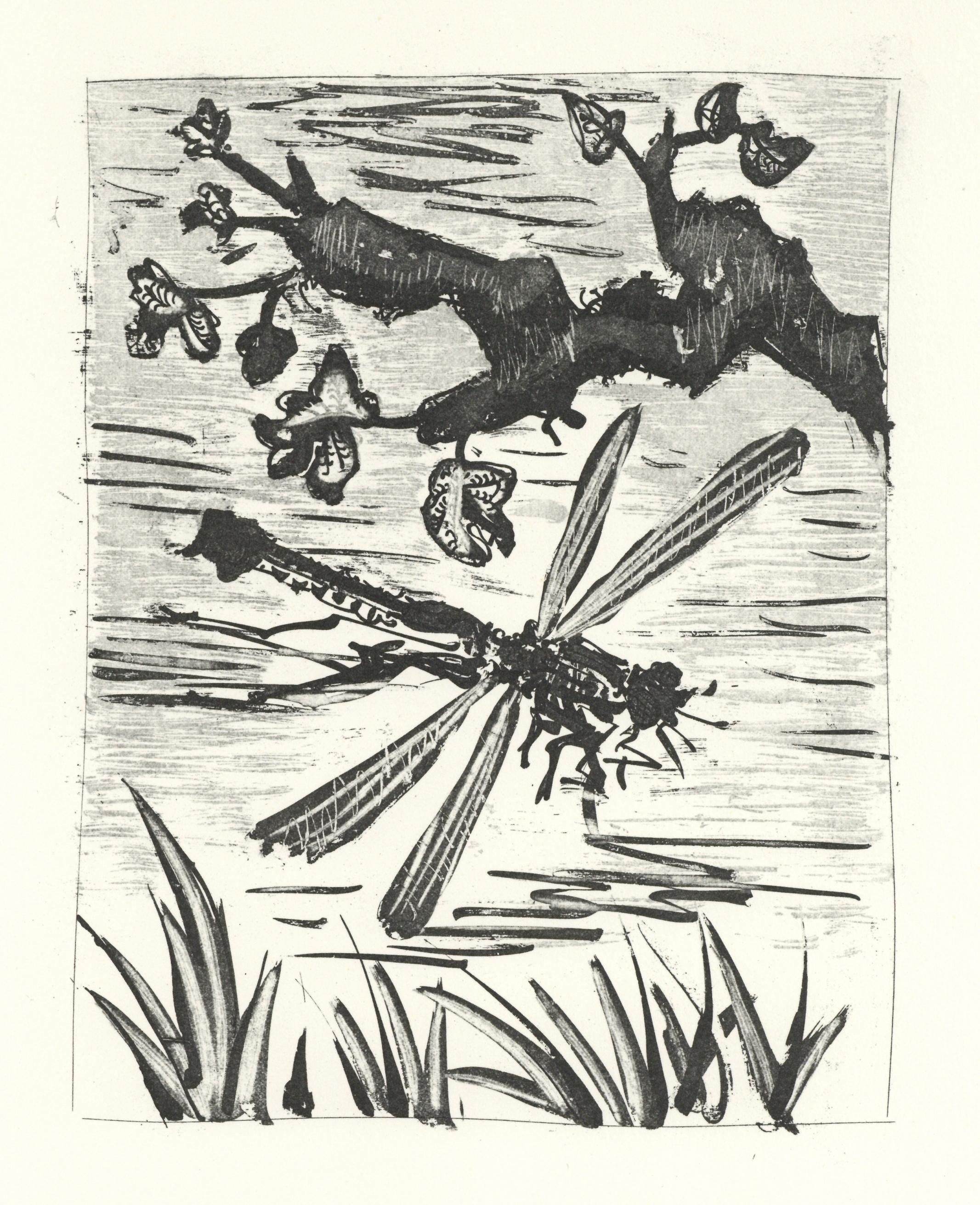Litografía sobre papel bouffant des Papeteries de Casteljoux. Sin firmar y sin numerar, tal como se publicó. Buen estado. Notas: Del folio, Eaux-fortes originale pour des textes de Buffon (Histoire naturelle), 1970. Publicado por Martin Fabiani,