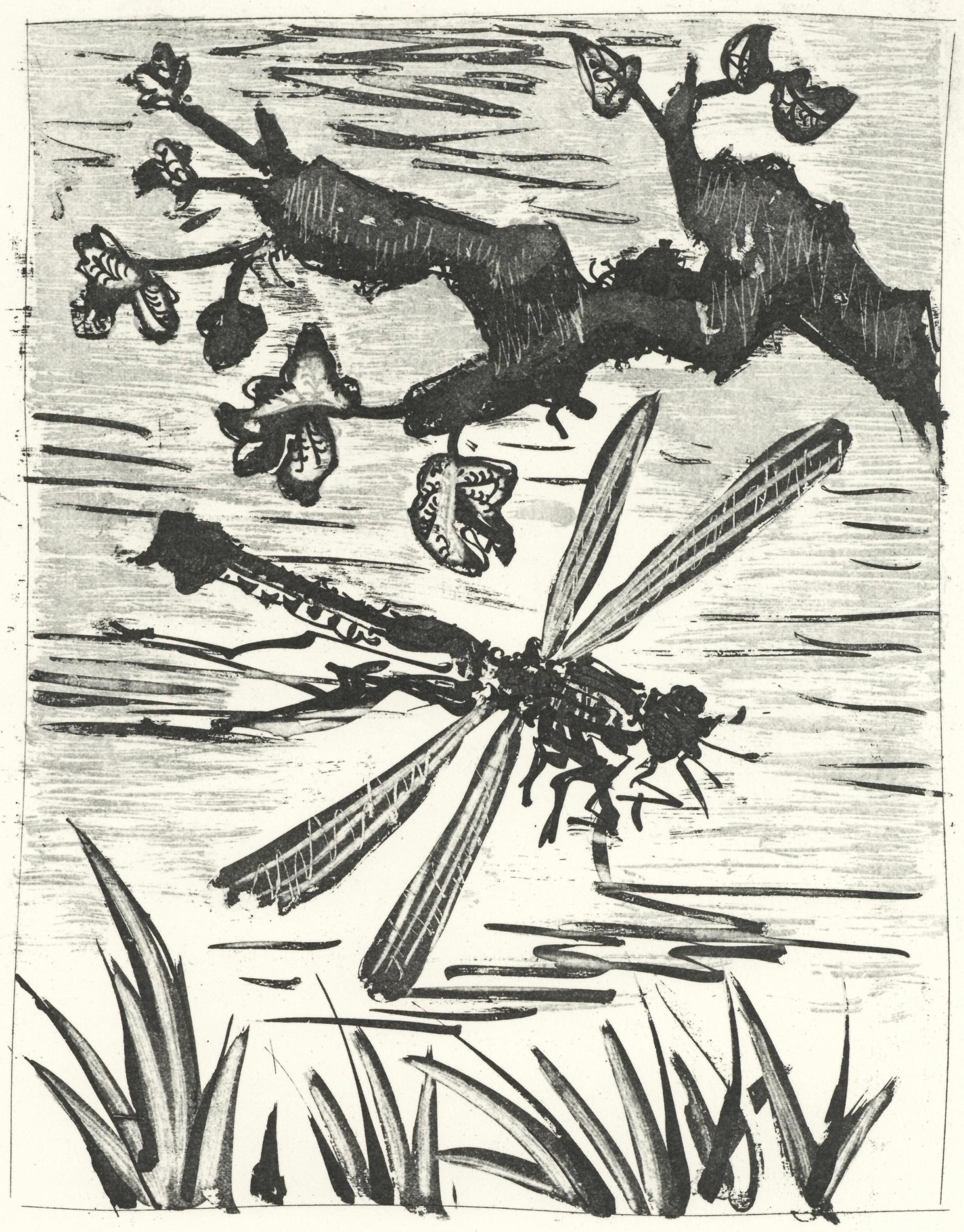 Picasso, La Libellule, Histoire naturelle (nach)