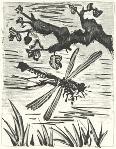 Picasso, La Libellule, Histoire naturelle (nach)