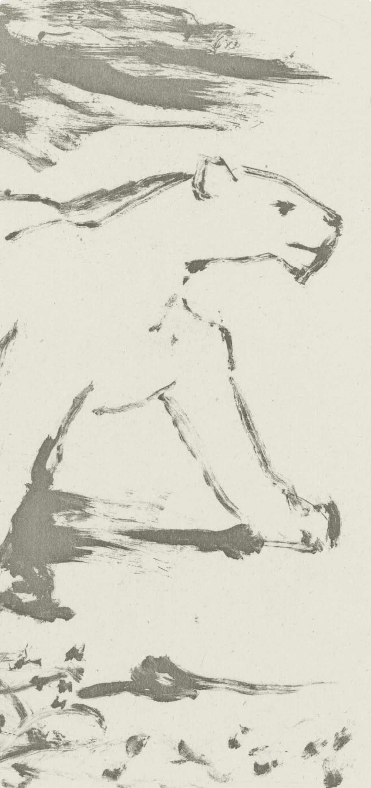 Picasso, La Lionne, Histoire naturelle (después de) - Print de Pablo Picasso