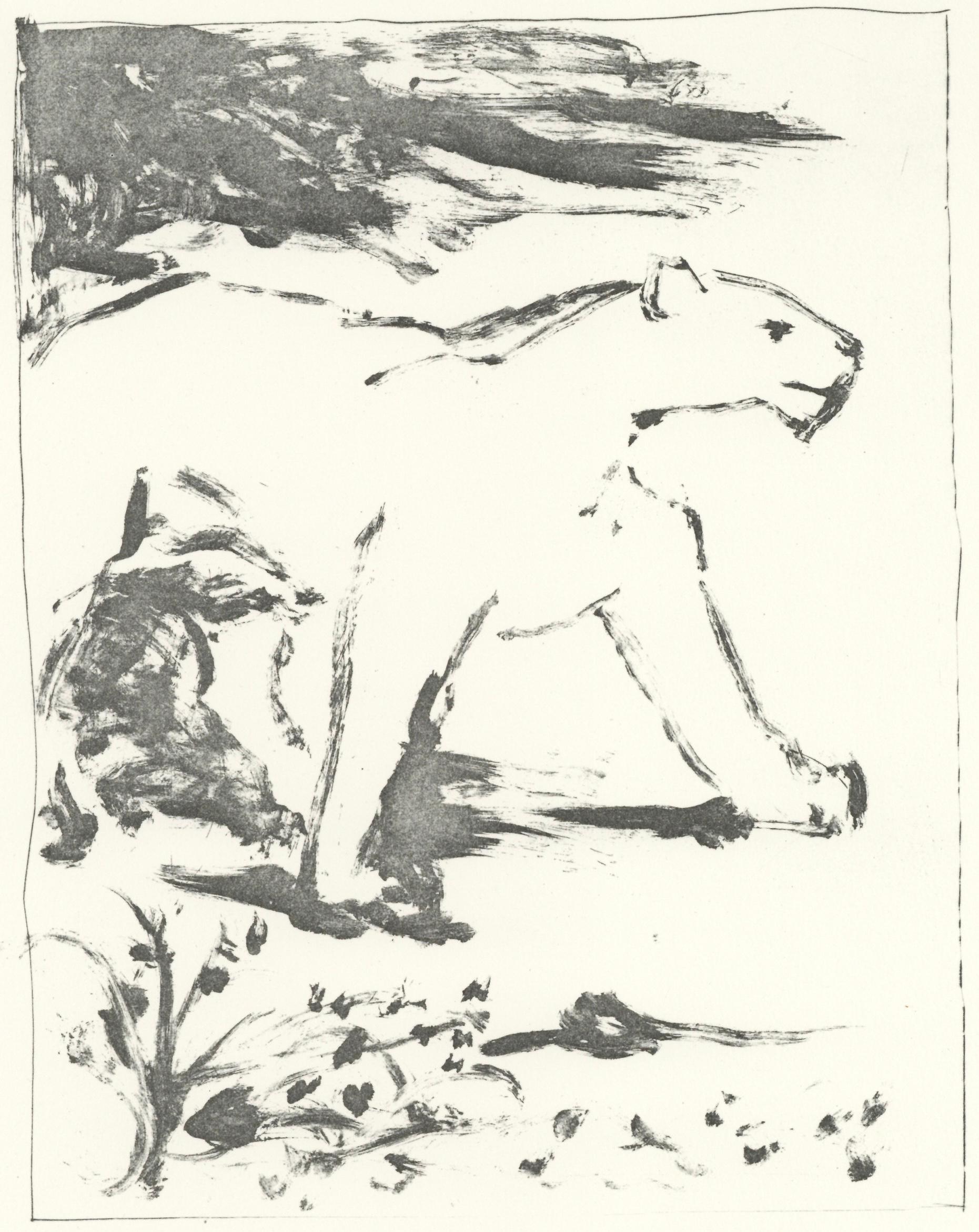 Picasso, La Lionne, Histoire naturelle (nach)