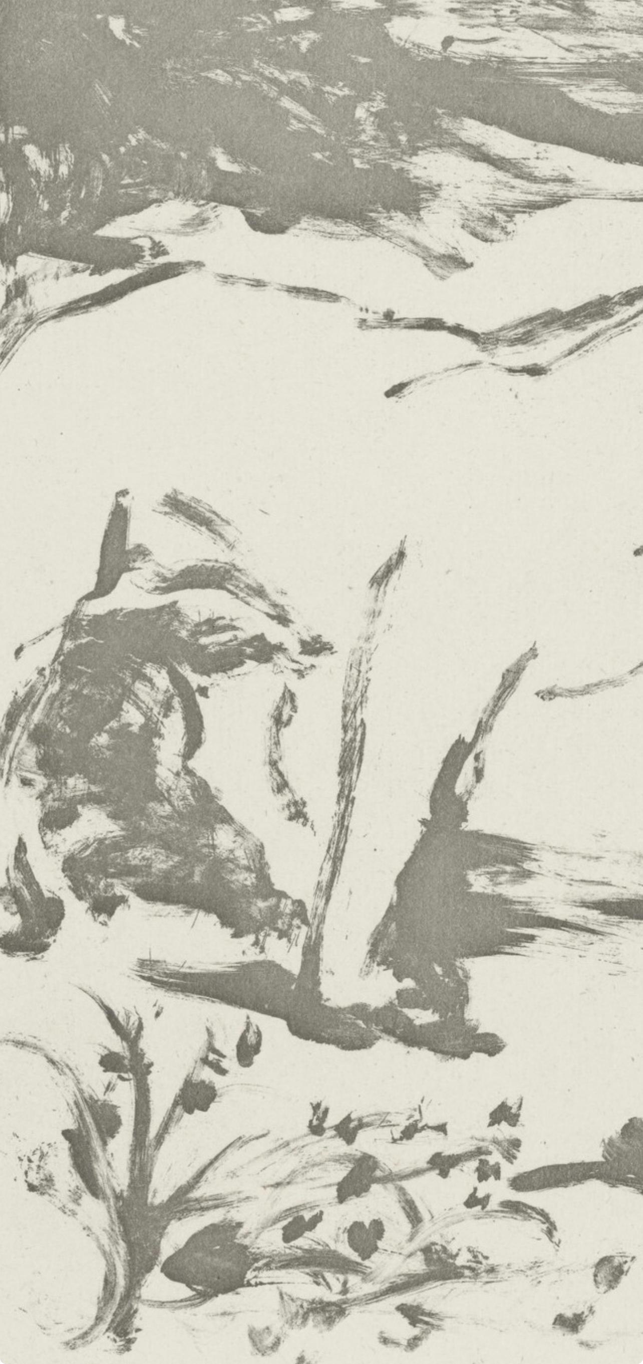 Picasso, La Lionne, Histoire naturelle (después de) - Print Moderno de Pablo Picasso