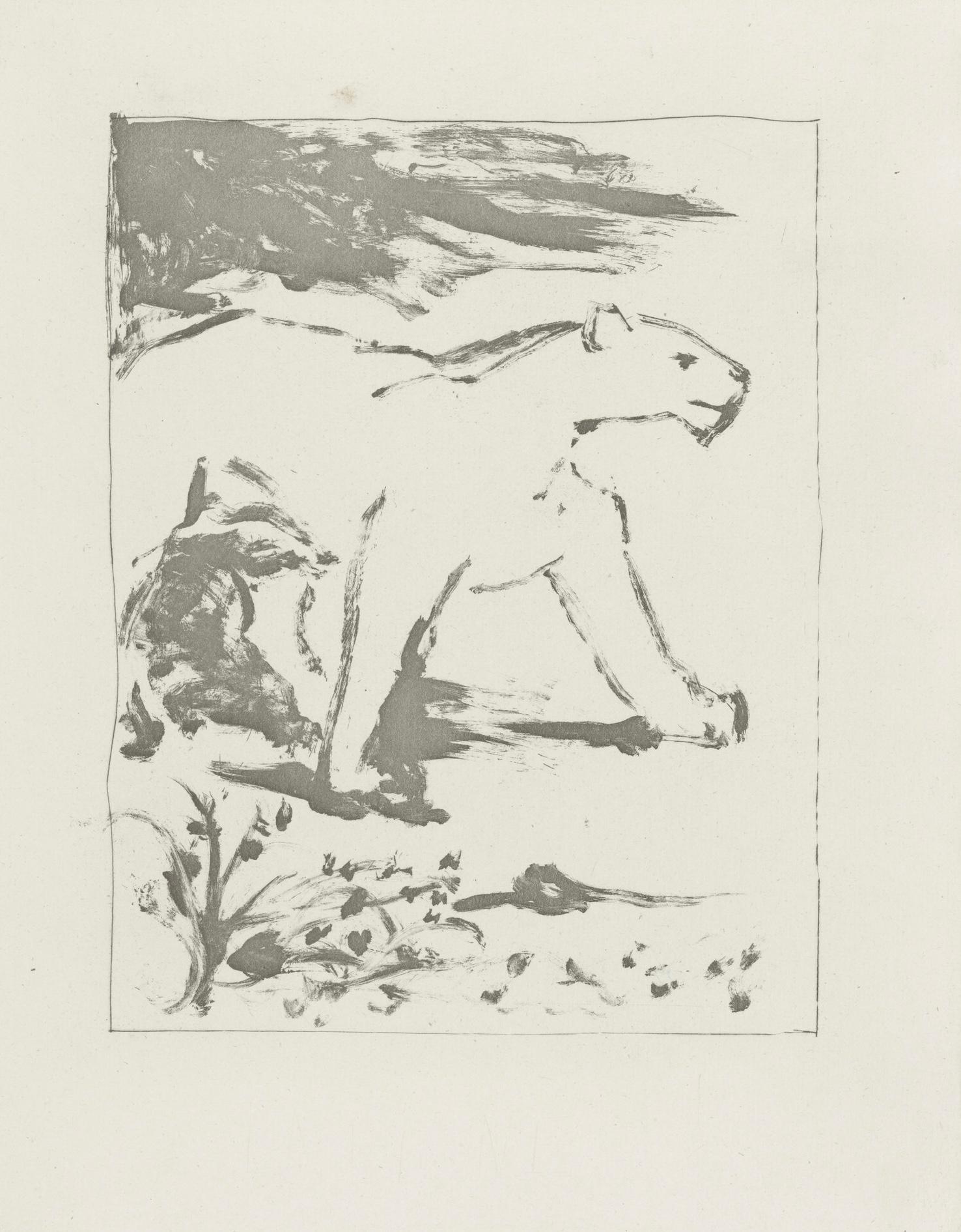Litografía sobre papel bouffant des Papeteries de Casteljoux. Sin firmar y sin numerar, tal como se publicó. Buen estado. Notas: Del folio, Eaux-fortes originale pour des textes de Buffon (Histoire naturelle), 1970. Publicado por Martin Fabiani,
