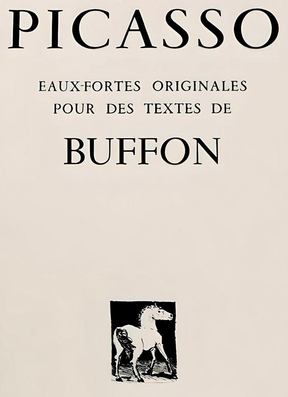 Picasso, La Lionne, Histoire naturelle (después de) en venta 1