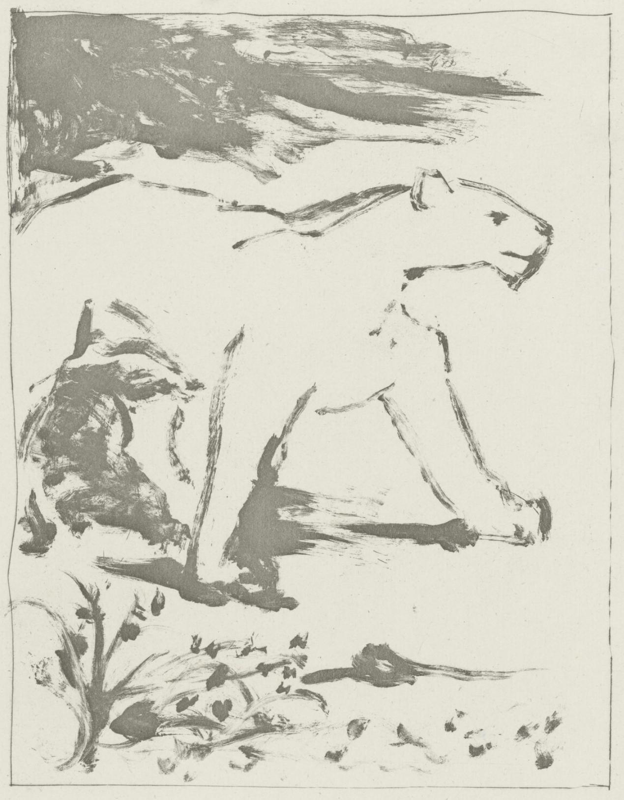 Animal Print de Pablo Picasso - Picasso, La Lionne, Histoire naturelle (después de)