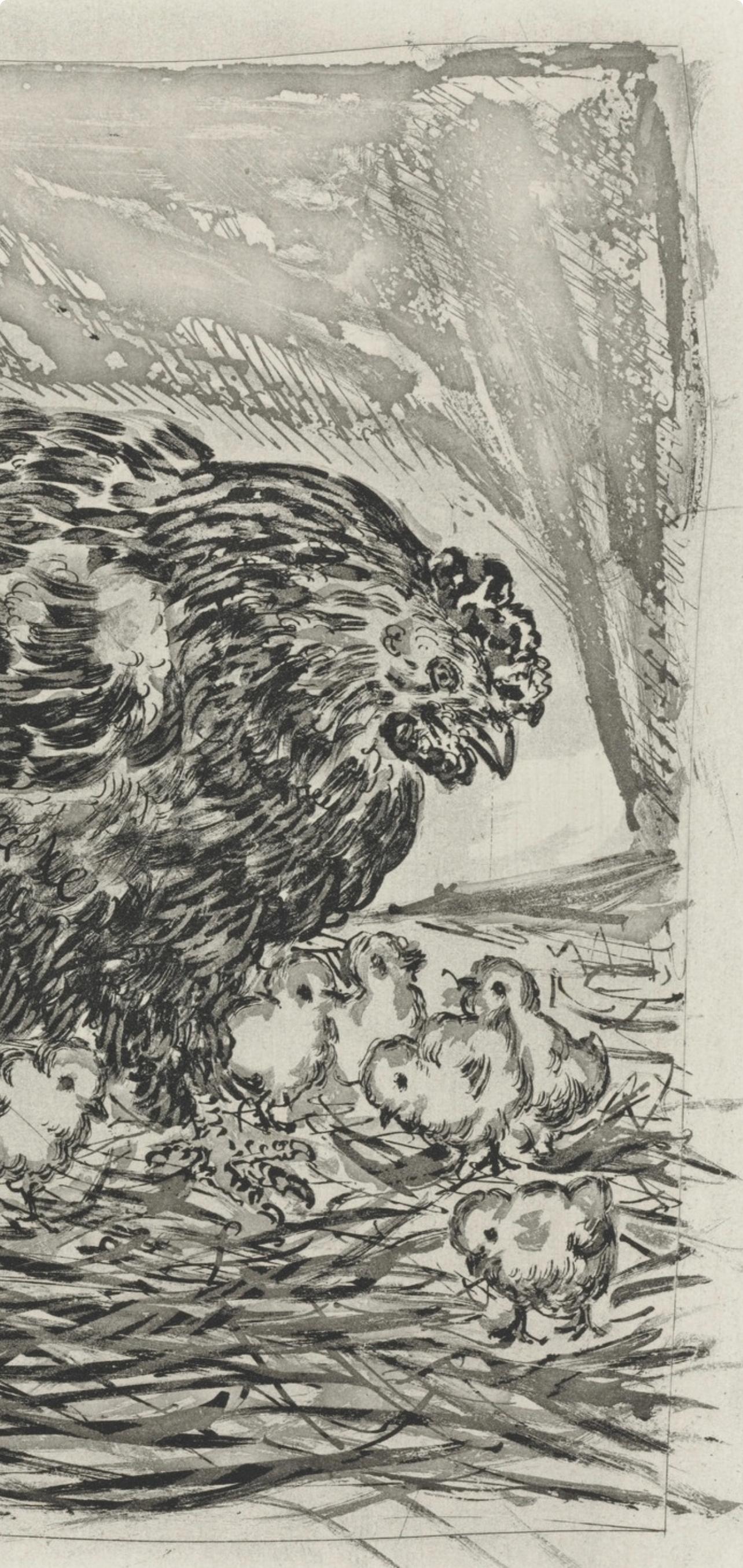 Picasso, La Mère poule, Histoire naturelle (d'après) - Print de Pablo Picasso