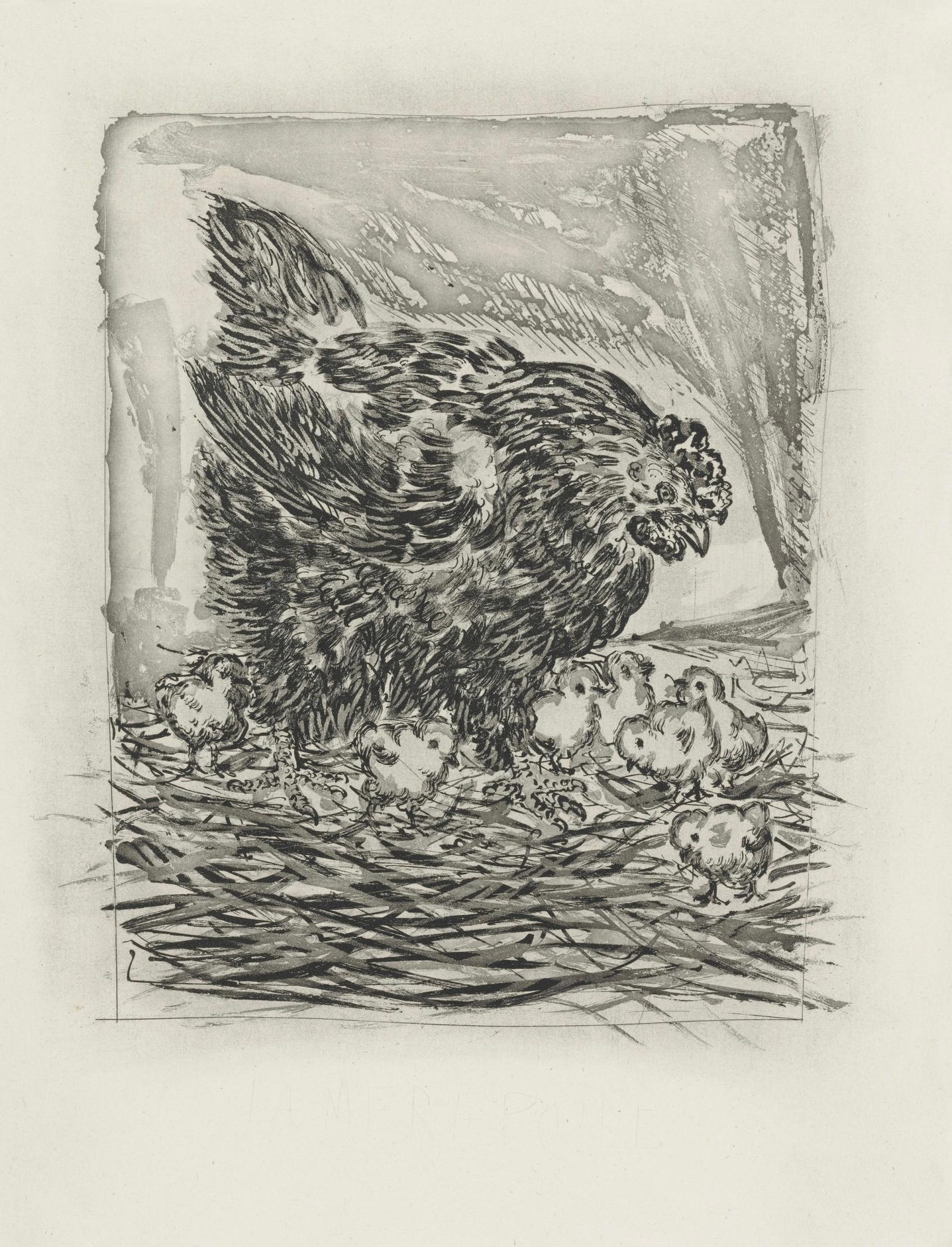 Picasso, La Mère poule, Histoire naturelle (after) For Sale 3