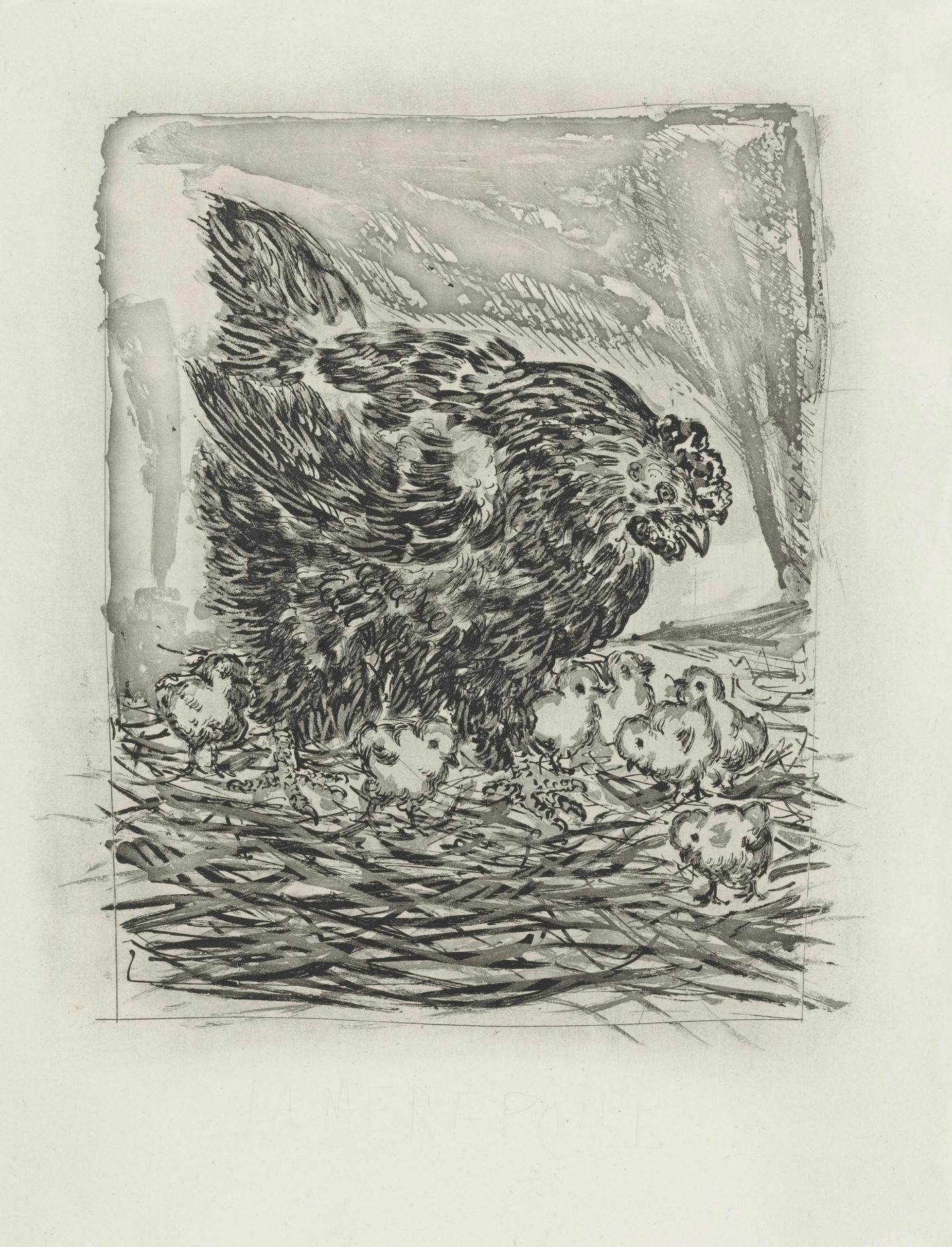 Picasso, La Mère poule, Histoire naturelle (d'après) en vente 2