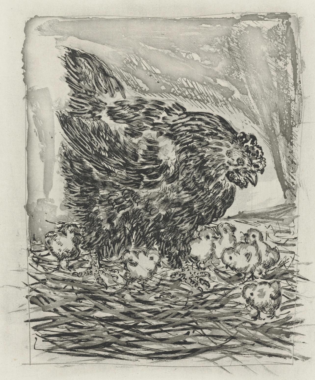 Picasso, La Mère poule, Histoire naturelle (dopo)