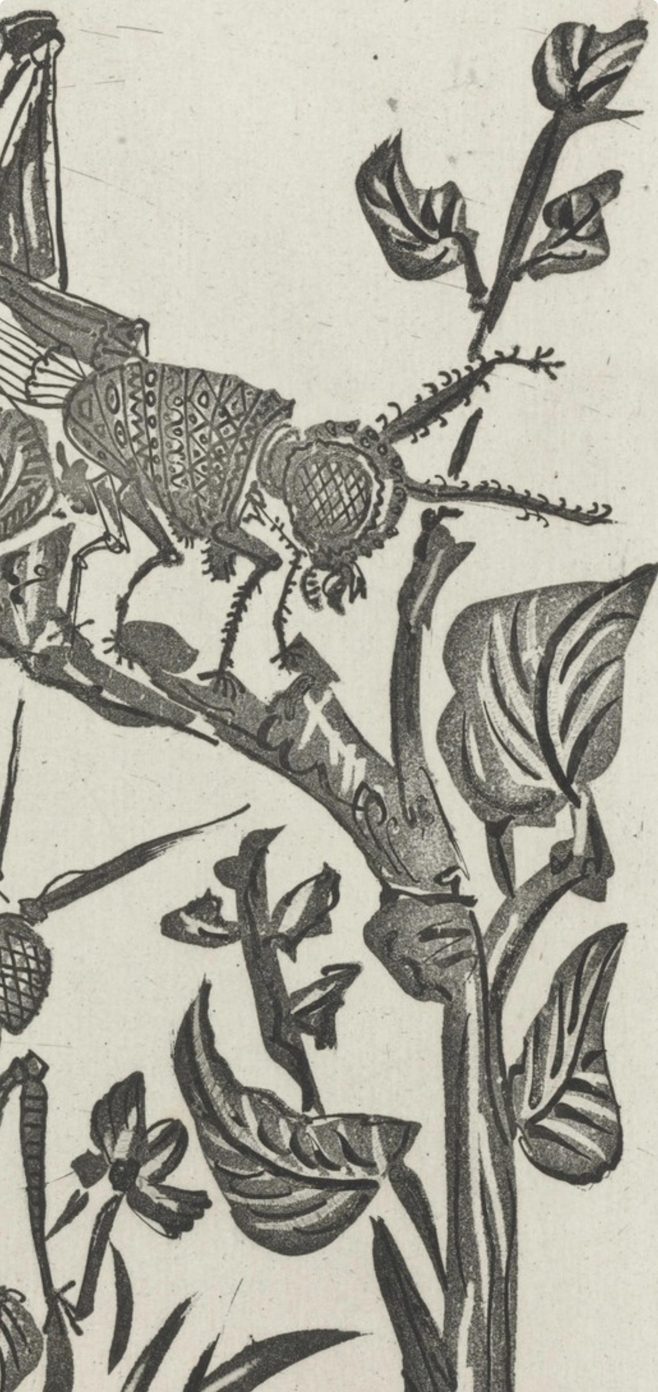 Lithograph on papier bouffant des Papeteries de Casteljoux paper. Unsigned and unnumbered, as issued. Good condition. Notes: From the folio, Eaux-fortes originale pour des textes de Buffon (Histoire naturelle), 1970. Published by Martin Fabiani,