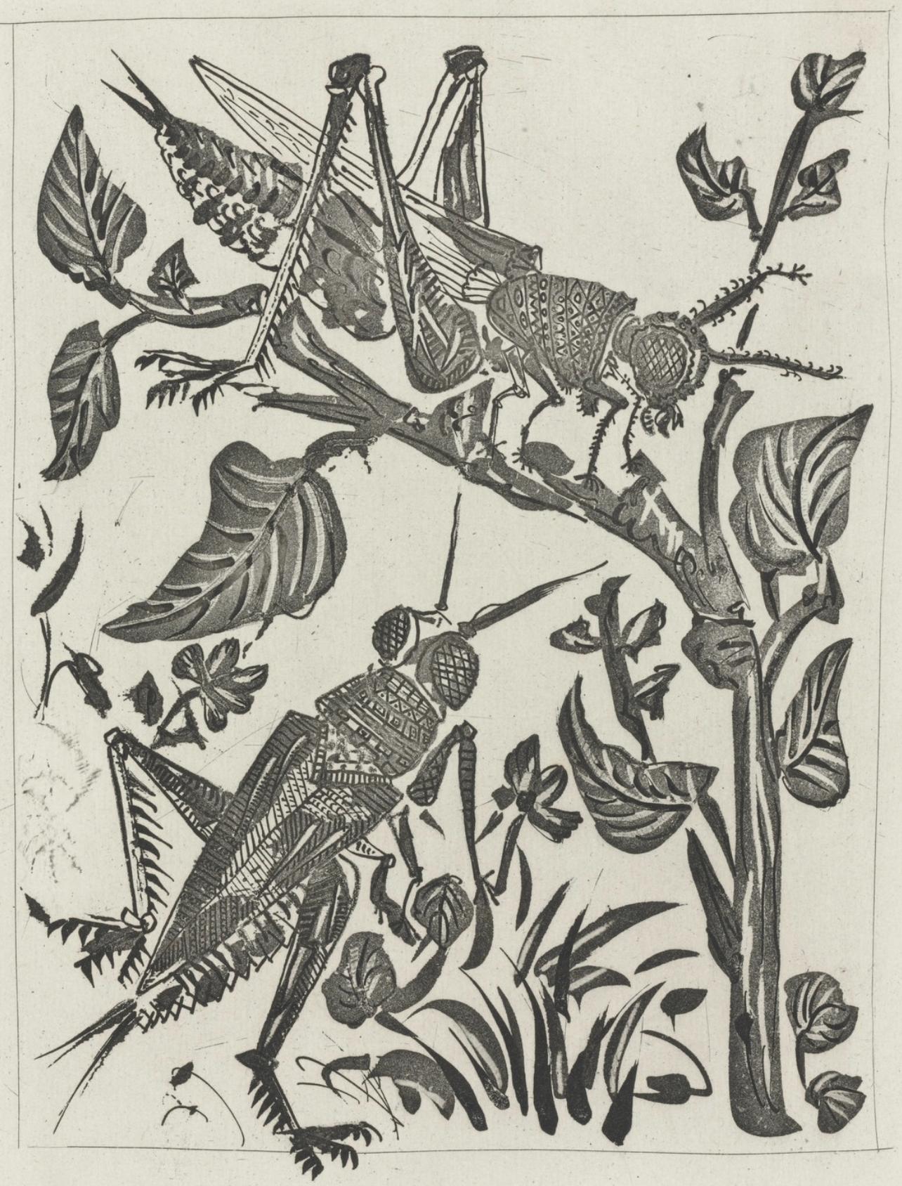 Pablo Picasso Animal Print - Picasso, La Sauterelle, Histoire naturelle (after)