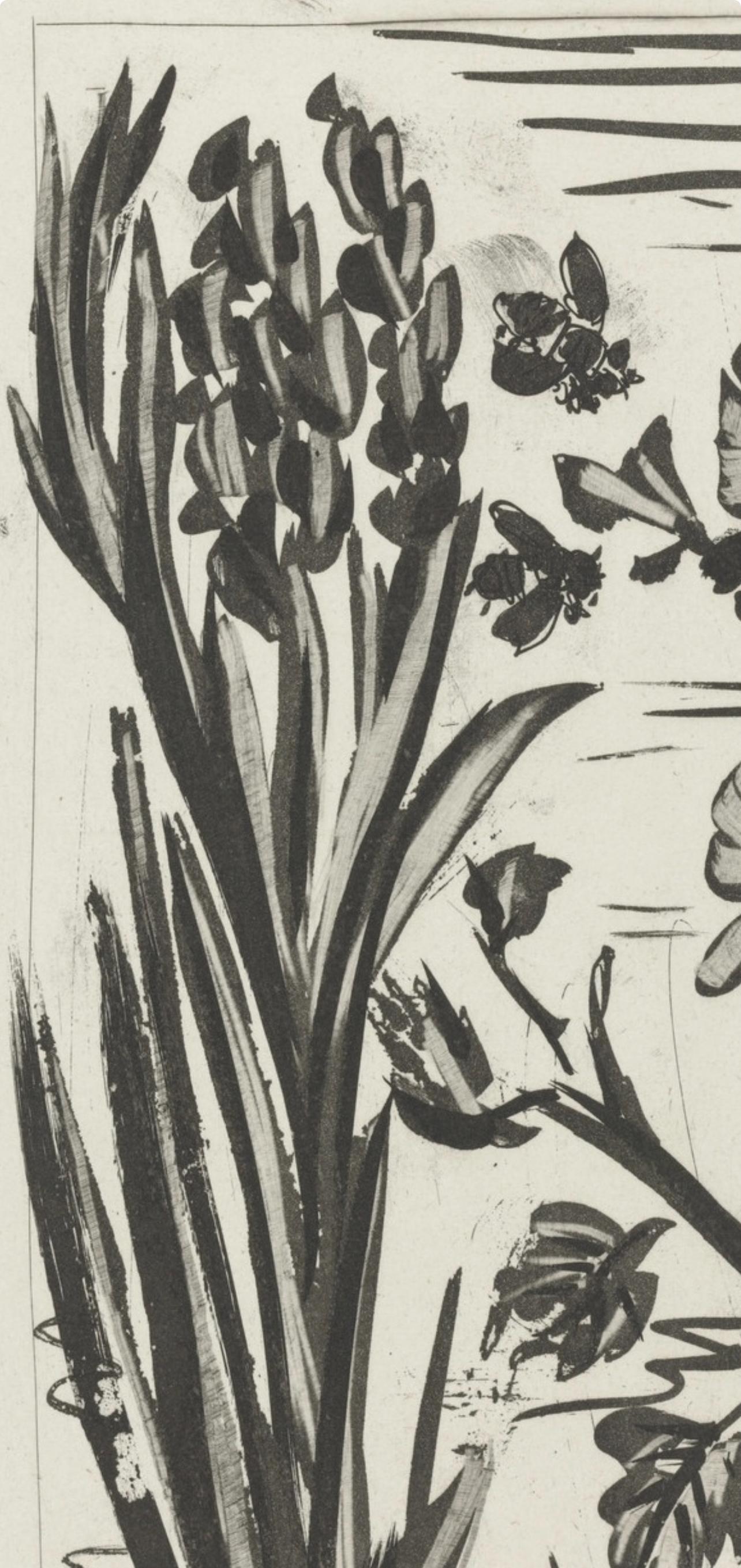 Lithograph on papier bouffant des Papeteries de Casteljoux paper. Unsigned and unnumbered, as issued. Good condition. Notes: From the folio, Eaux-fortes originale pour des textes de Buffon (Histoire naturelle), 1970. Published by Martin Fabiani,