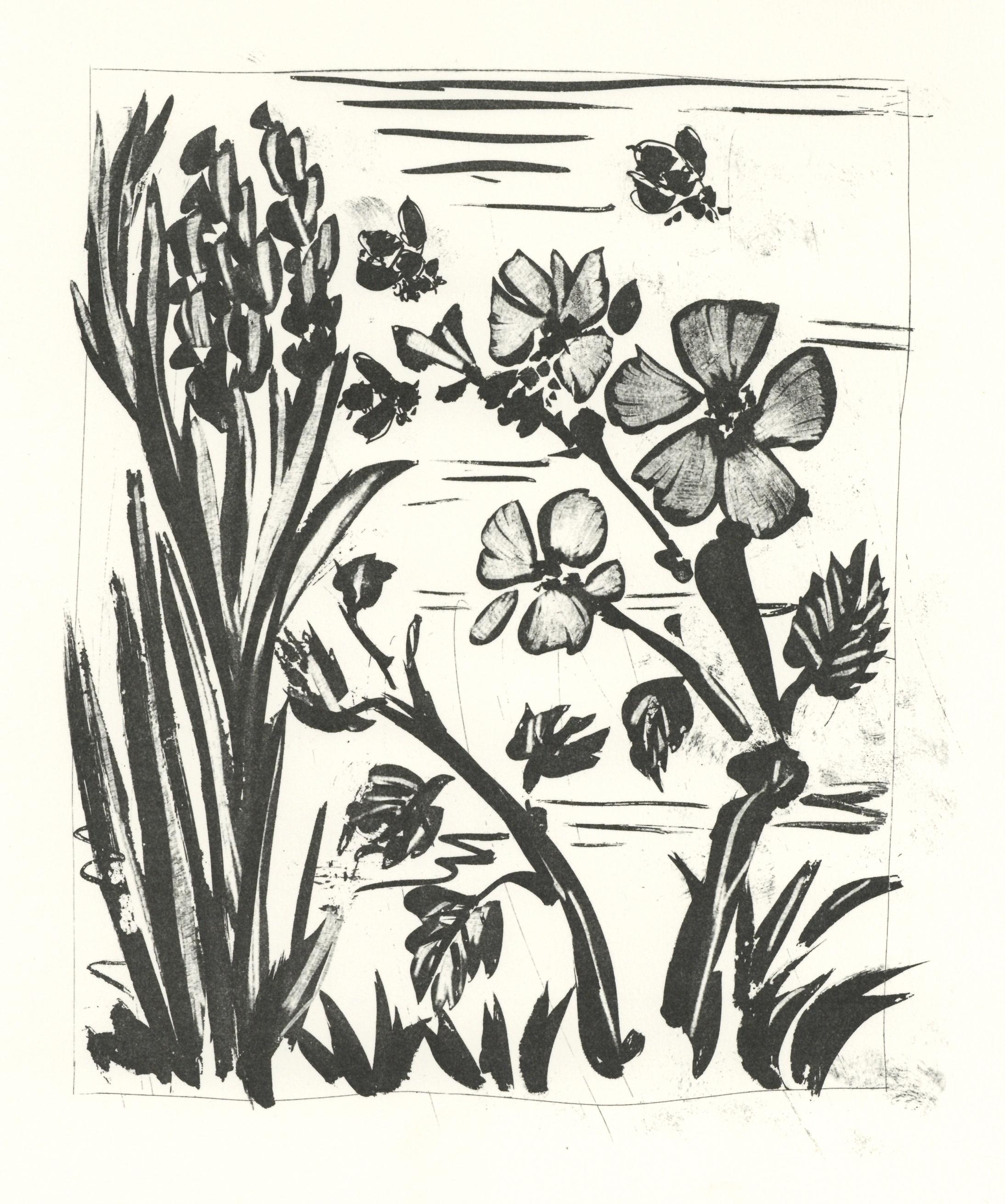 Litografia su carta papier bouffant des Papeteries de Casteljoux. Non firmato e non numerato, come da edizione. Buone condizioni. Note: Dal folio, Eaux-fortes originale pour des textes de Buffon (Histoire naturelle), 1970. Pubblicato da Martin