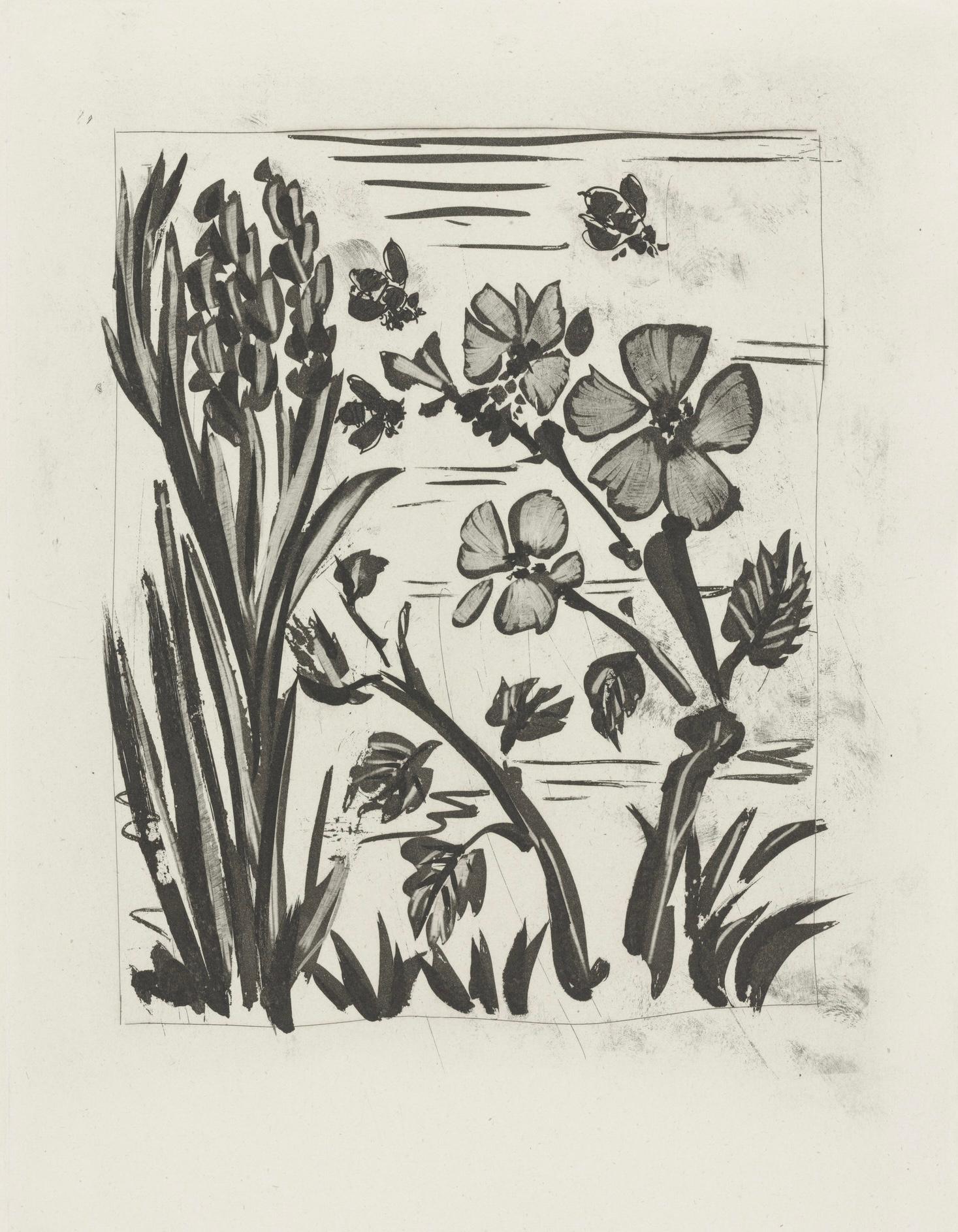 Picasso, L'Abeille, Histoire naturelle (d'après) en vente 2