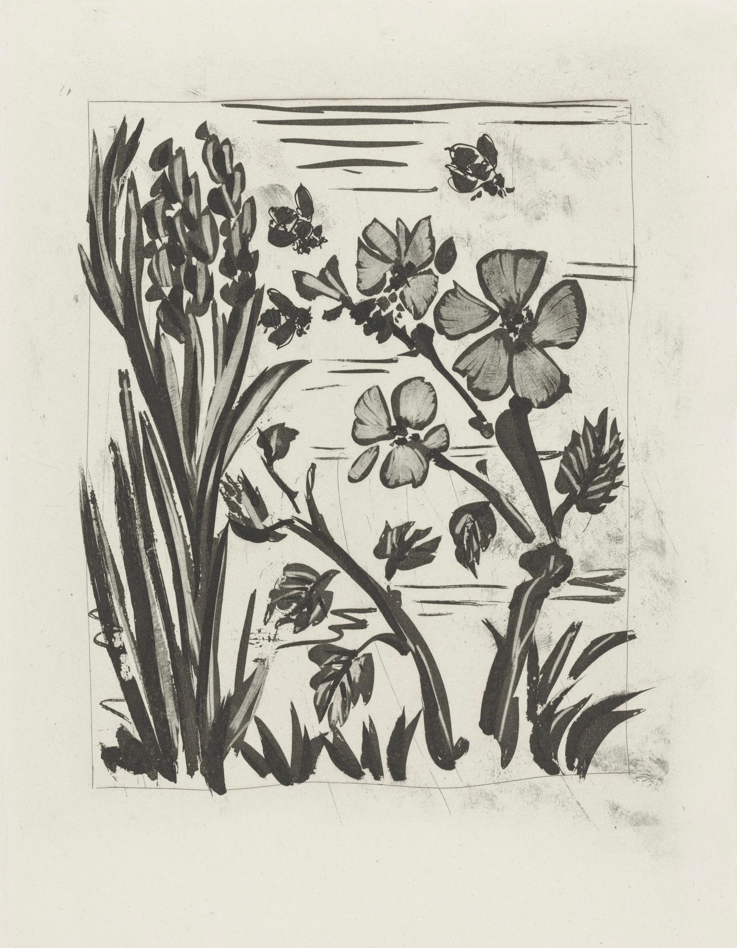 Picasso, L'Abeille, Histoire naturelle (after) For Sale 1