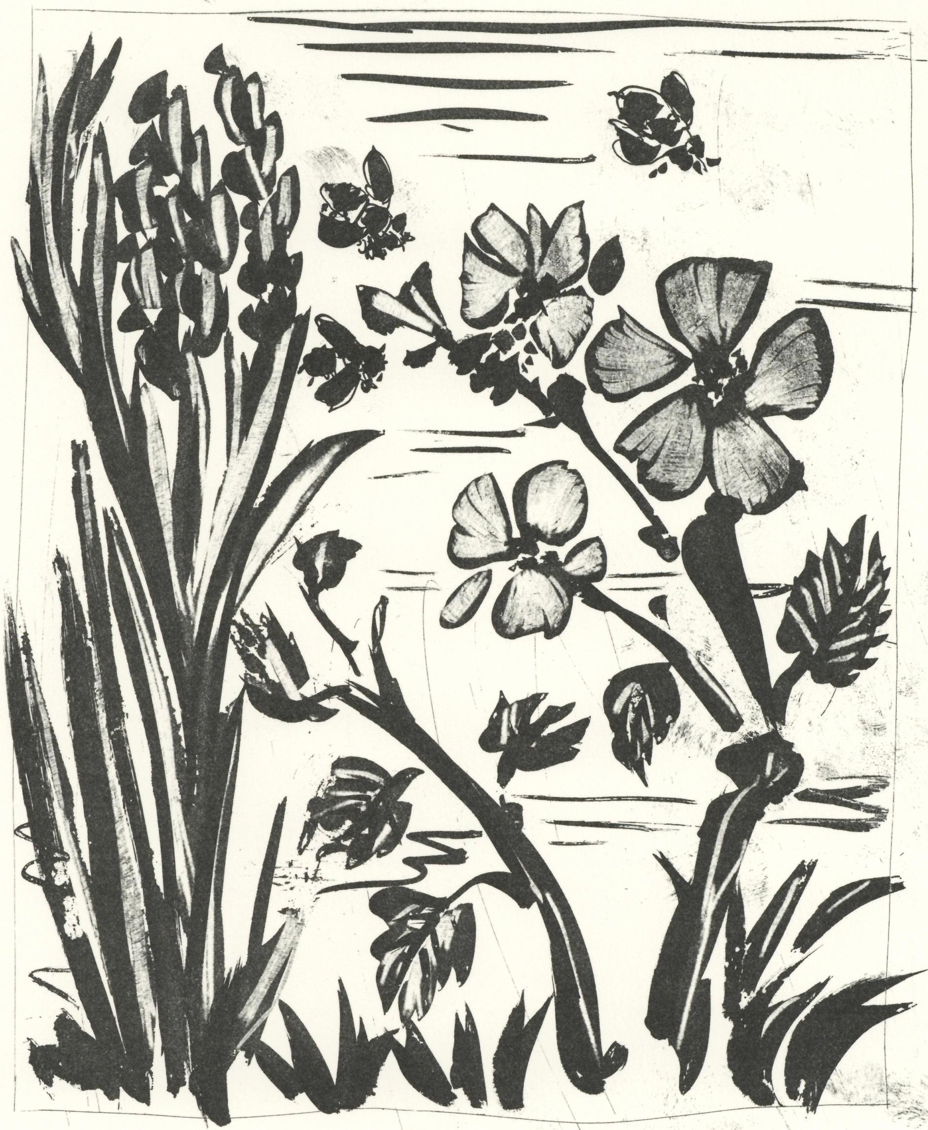 Picasso, L'Abeille, Histoire naturelle (d'après)