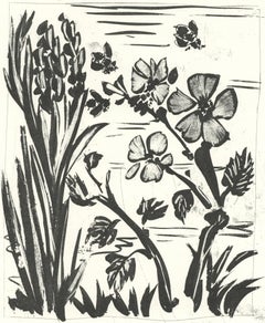 Picasso, L'Abeille, Histoire naturelle (dopo)