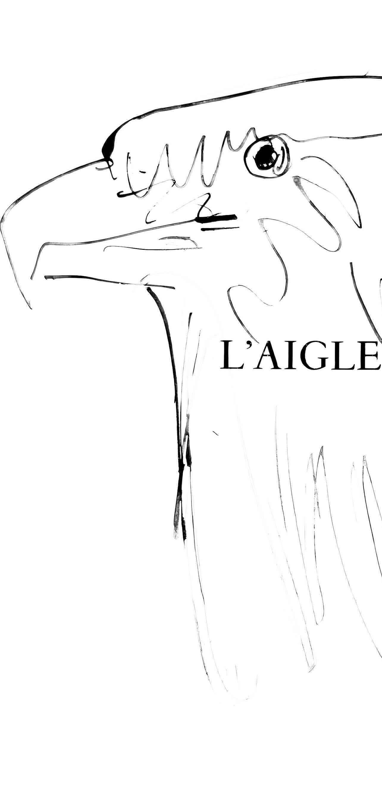 Picasso, L'aigle (Cramer 84 ; Johnson/Stein 77) (d'après) - Print de Pablo Picasso