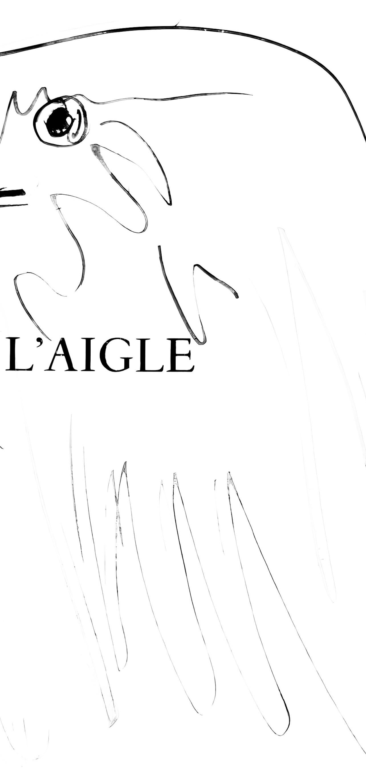 Picasso, L'aigle (Cramer 84 ; Johnson/Stein 77) (d'après) - Gris Abstract Print par Pablo Picasso