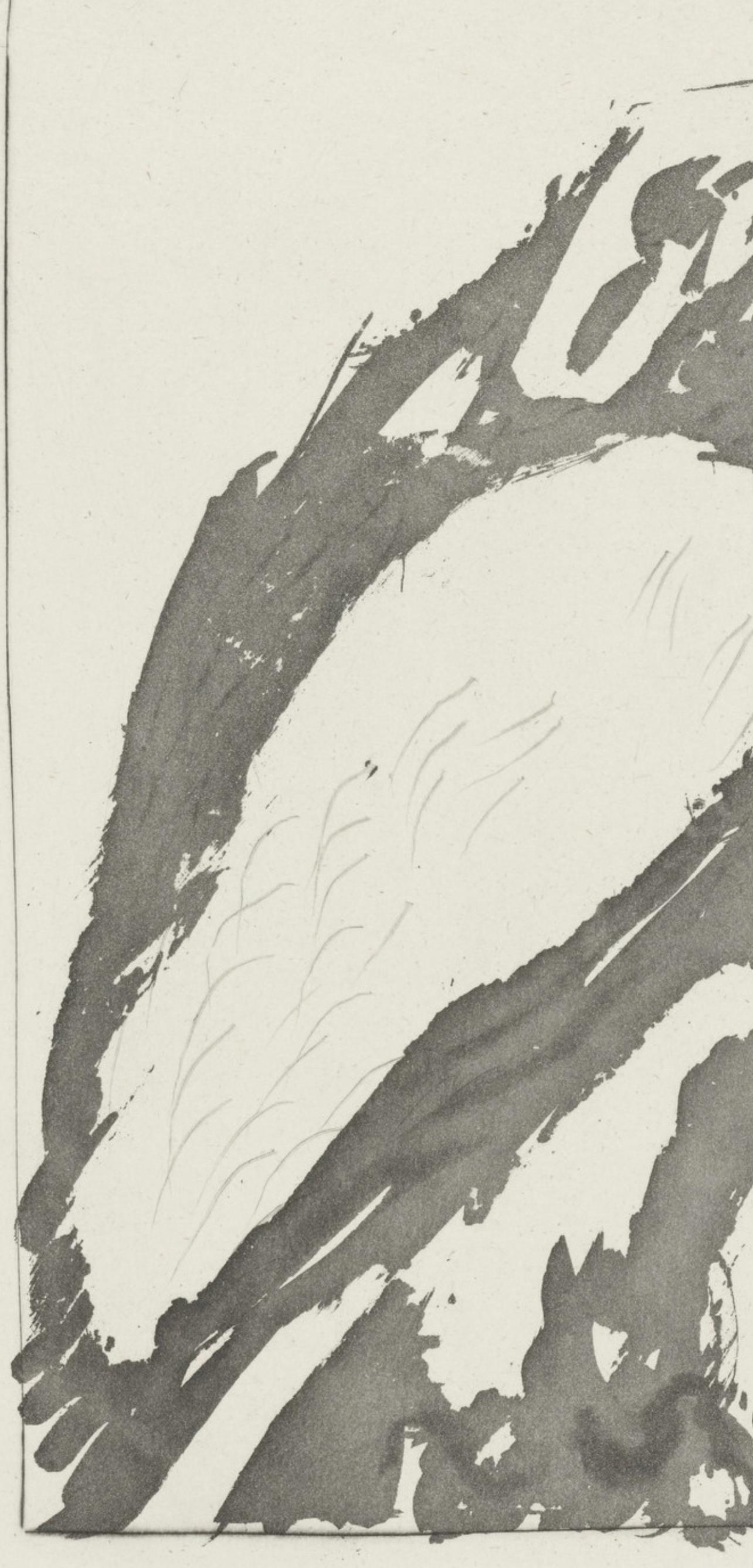 Picasso, L'Aigle, Histoire naturelle (d'après) - Moderne Print par Pablo Picasso