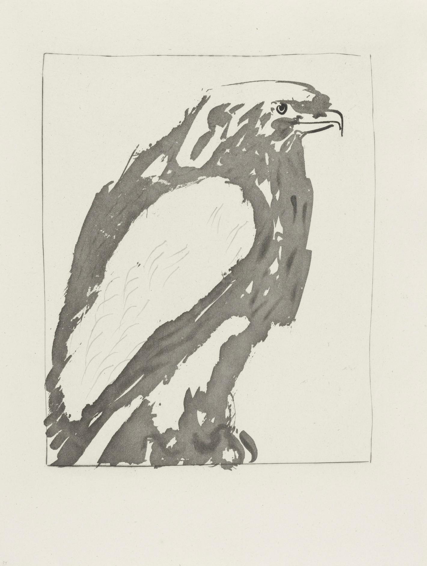 Picasso, L'Aigle, Histoire naturelle (after) For Sale 1