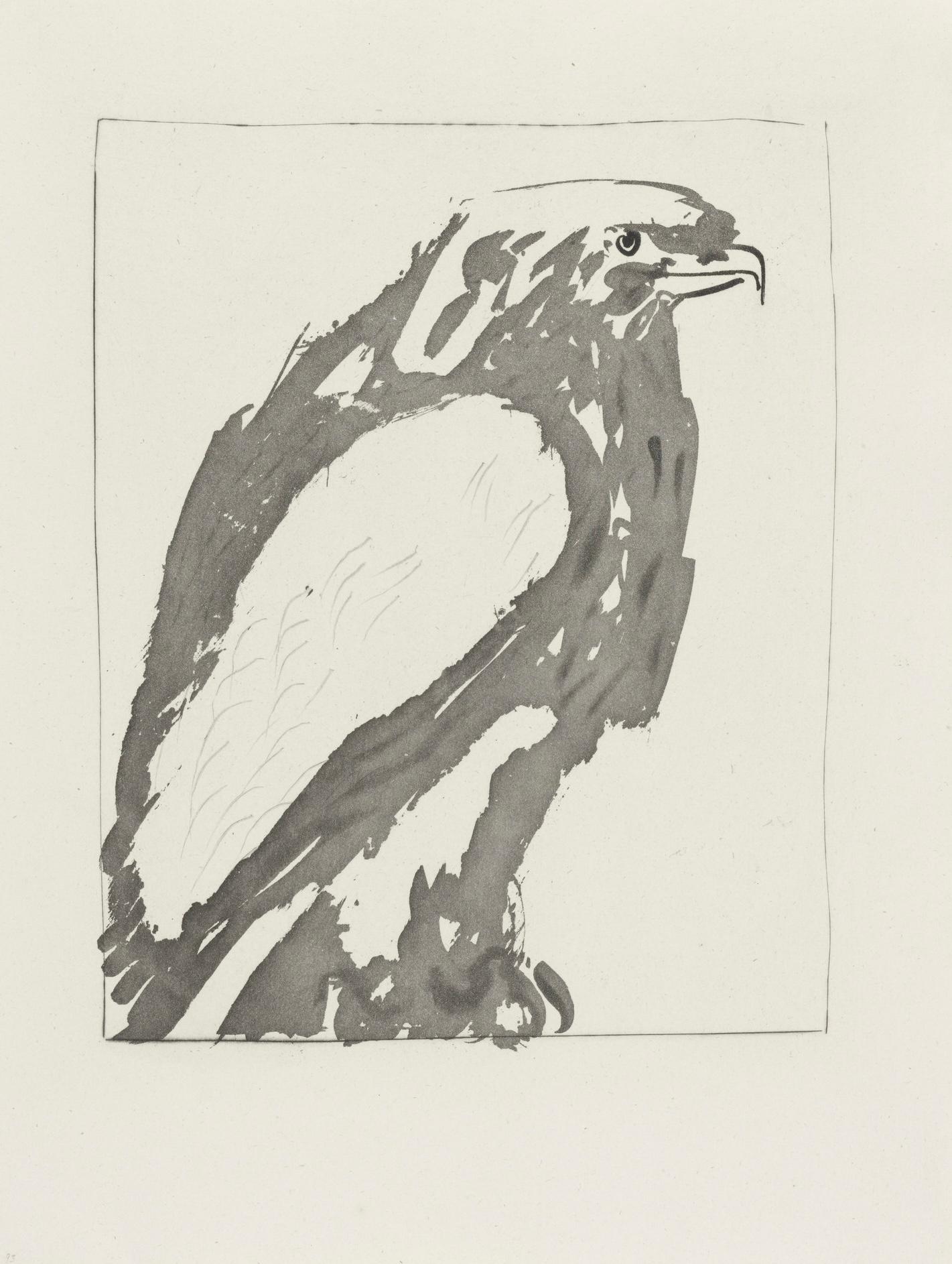 Lithographie sur papier bouffant des Papeteries de Casteljoux. Non signé et non numéroté, tel que publié. Bon état. Notes : D'après l'in-folio, Eaux-fortes originales pour des textes de Buffon (Histoire naturelle), 1970. Publié par Martin Fabiani,