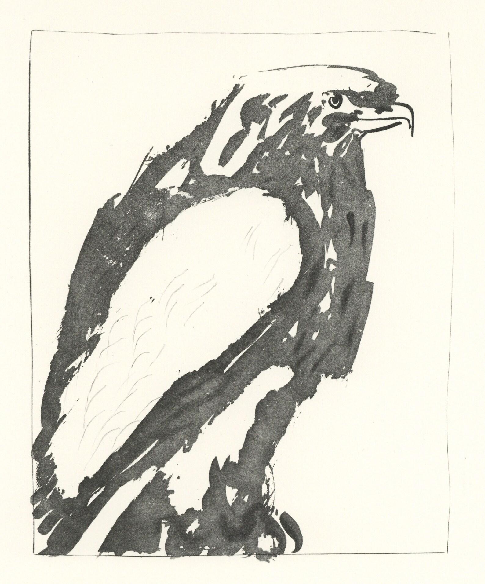 Litografia su carta papier bouffant des Papeteries de Casteljoux. Non firmato e non numerato, come da edizione. Buone condizioni. Note: Dal folio, Eaux-fortes originale pour des textes de Buffon (Histoire naturelle), 1970. Pubblicato da Martin