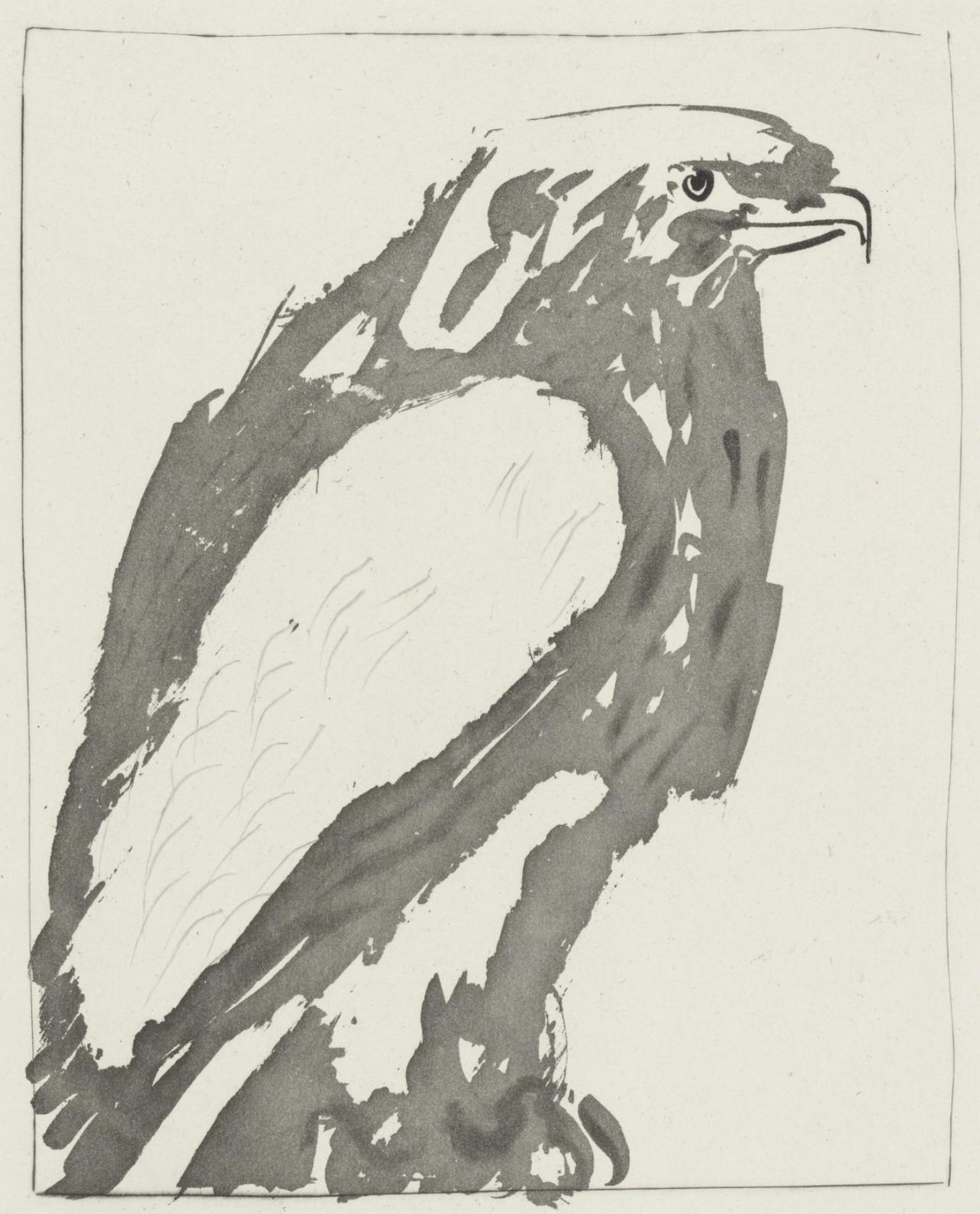 Animal Print Pablo Picasso - Picasso, L'Aigle, Histoire naturelle (d'après)