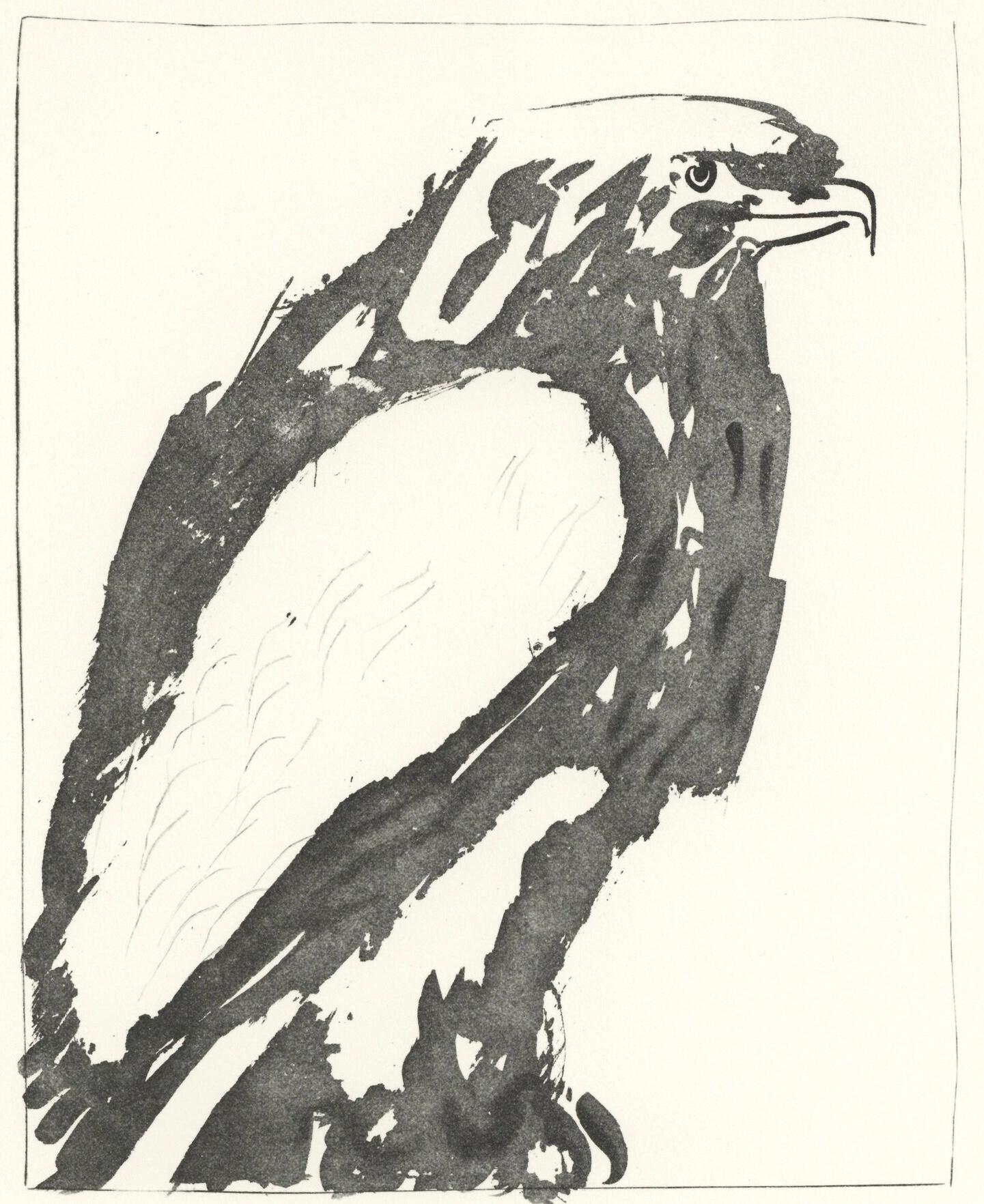 Picasso, L'Aigle, Histoire naturelle (after)