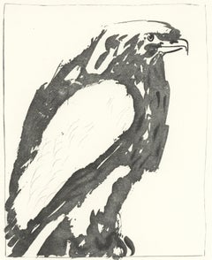 Picasso, L'Aigle, Histoire naturelle (dopo)