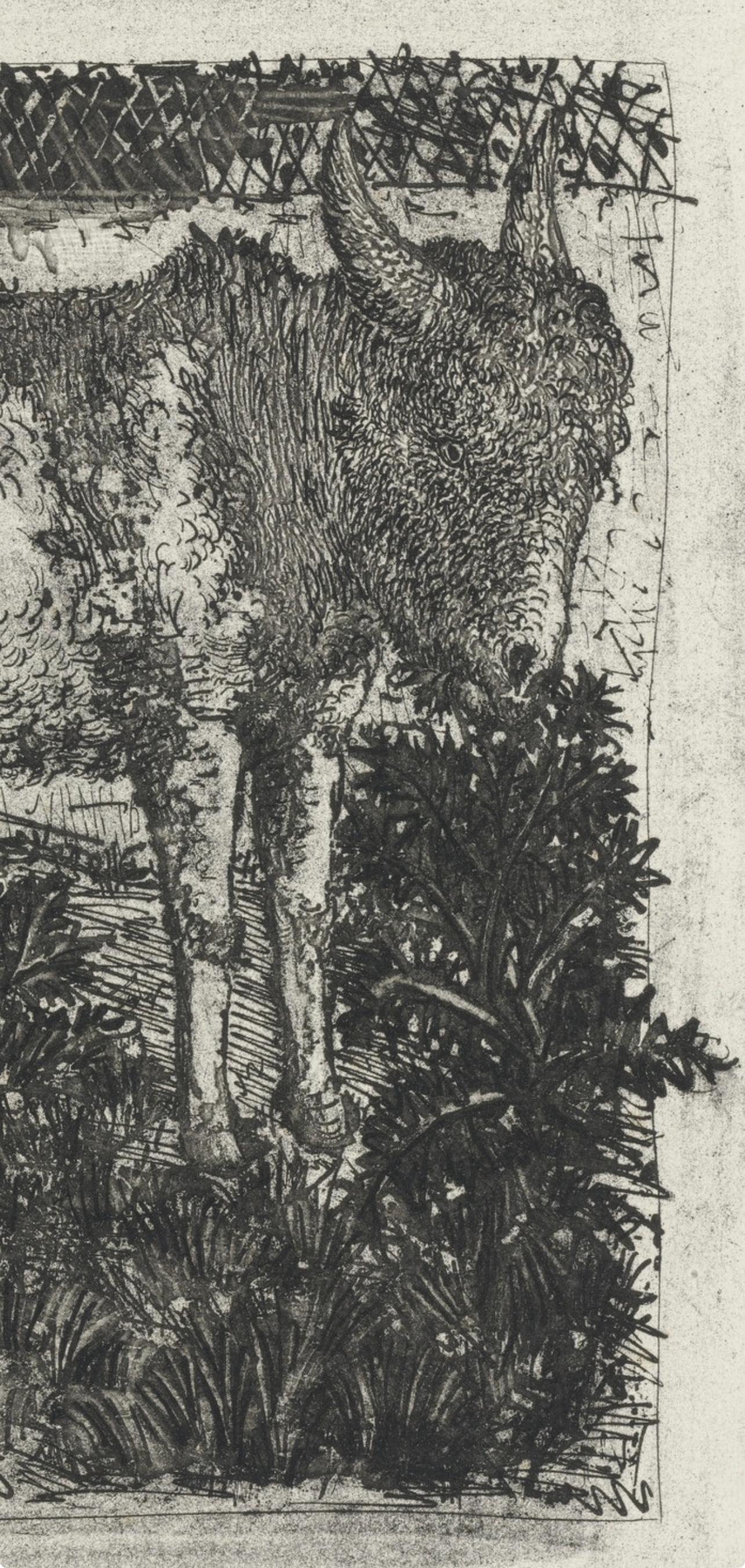 Picasso, L'Âne, Histoire naturelle (d'après) - Print de Pablo Picasso