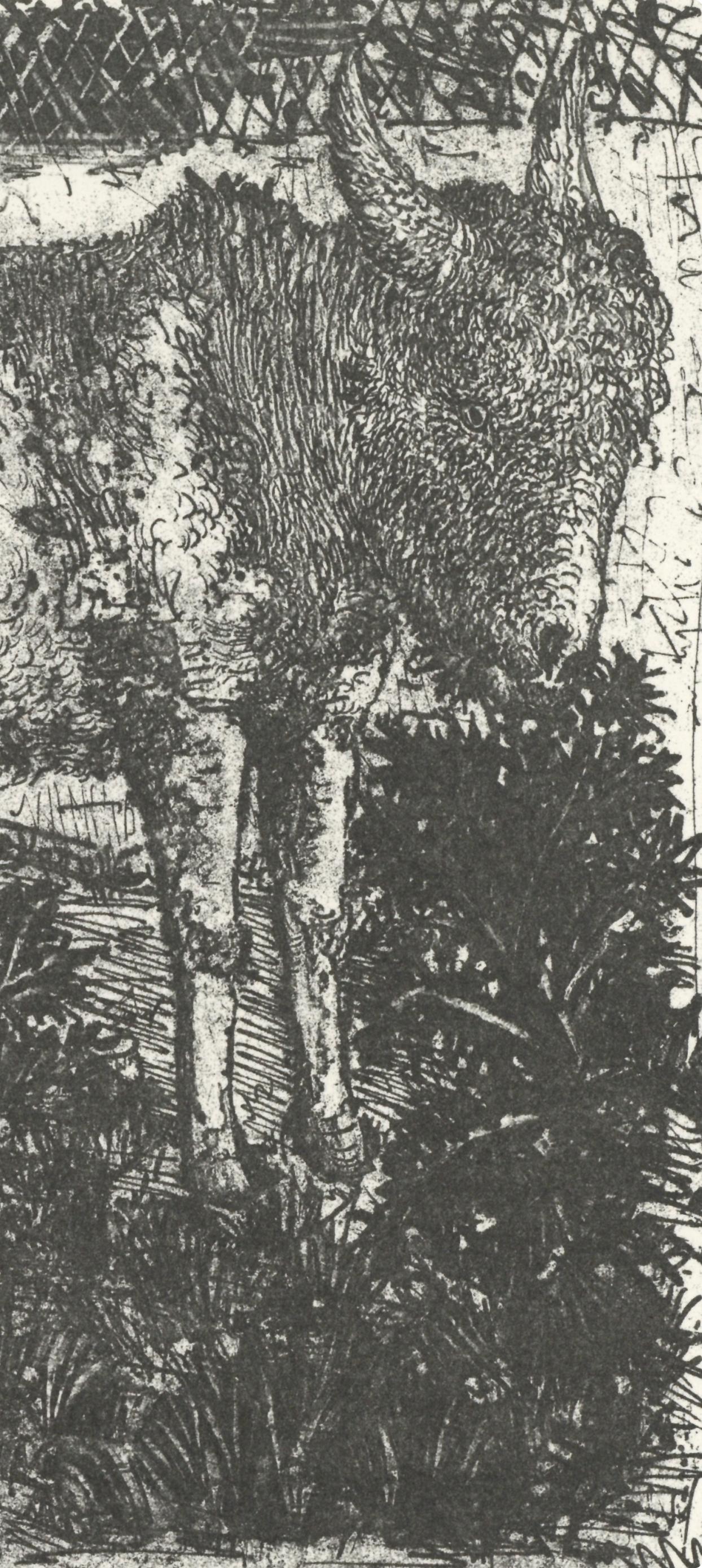 Picasso, L'Âne, Histoire naturelle (nach) – Print von Pablo Picasso