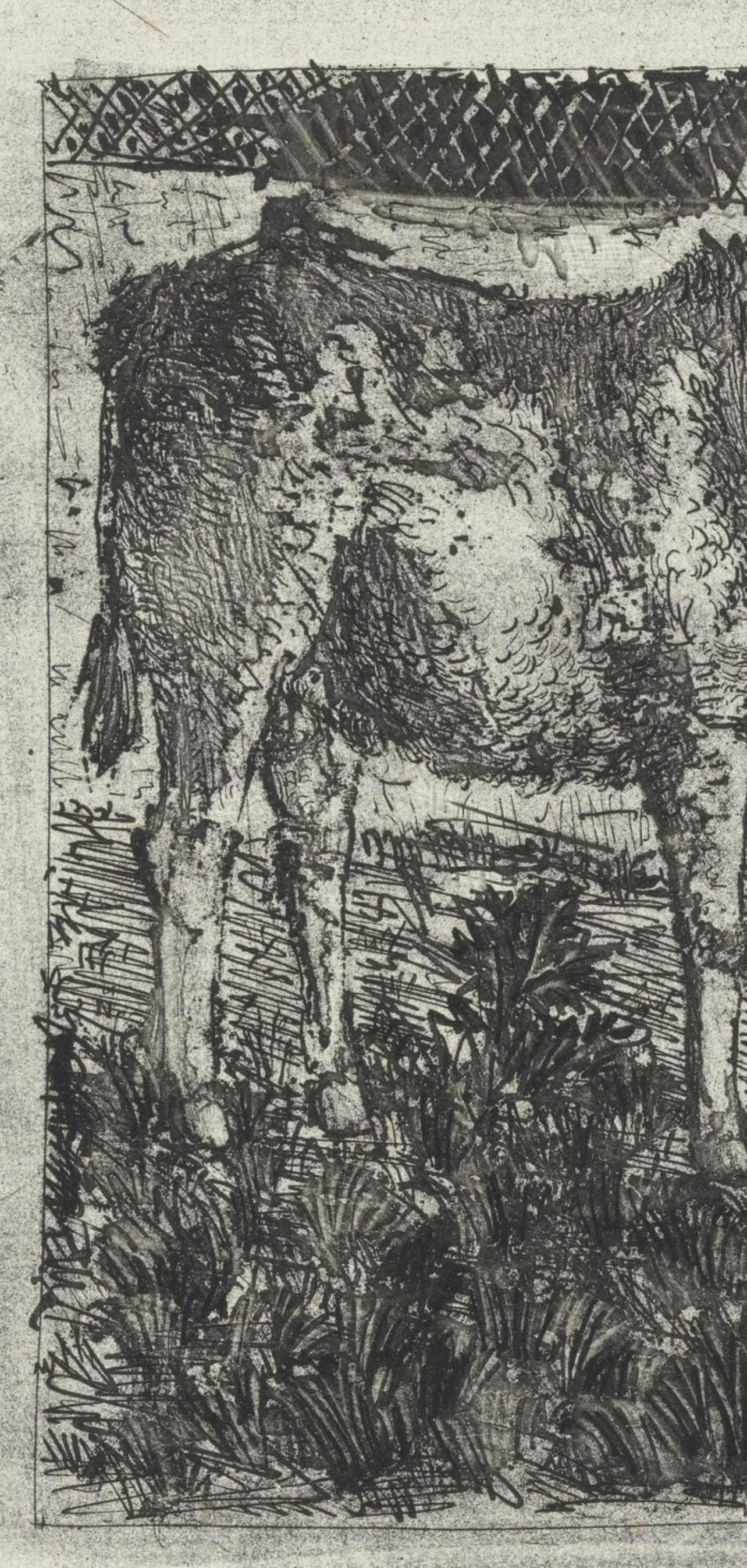 Picasso, L'Âne, Histoire naturelle (d'après) - Moderne Print par Pablo Picasso