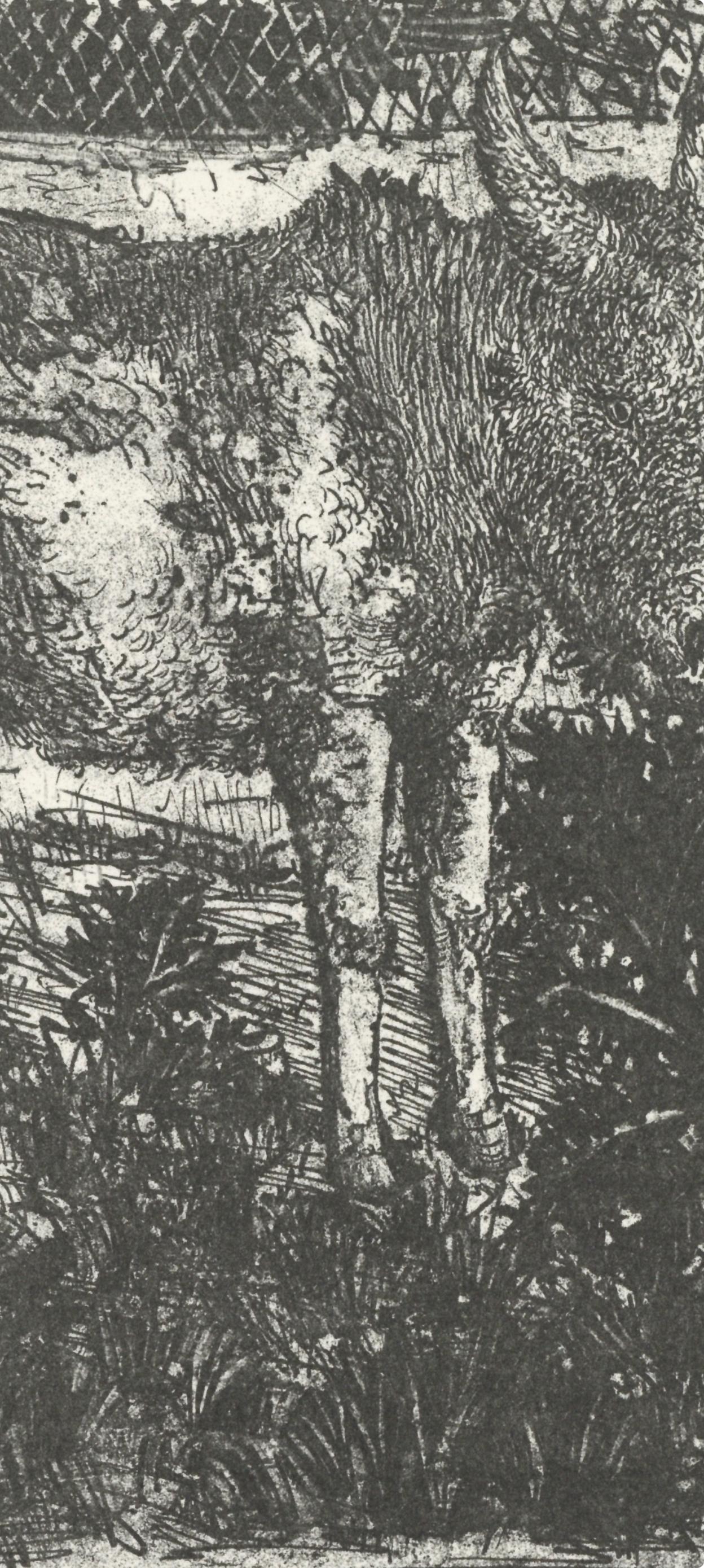Picasso, L'Âne, Histoire naturelle (nach) (Kubismus), Print, von Pablo Picasso
