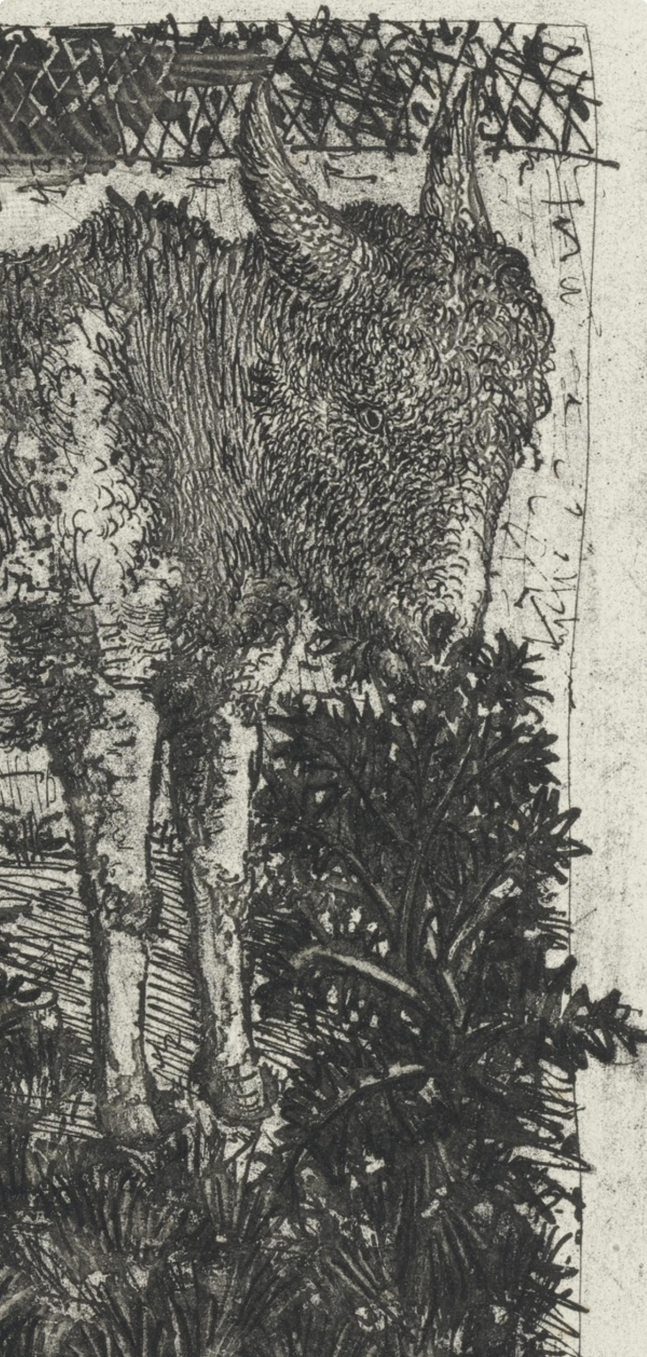 Picasso, L'Âne, Histoire naturelle (d'après) - Gris Landscape Print par Pablo Picasso