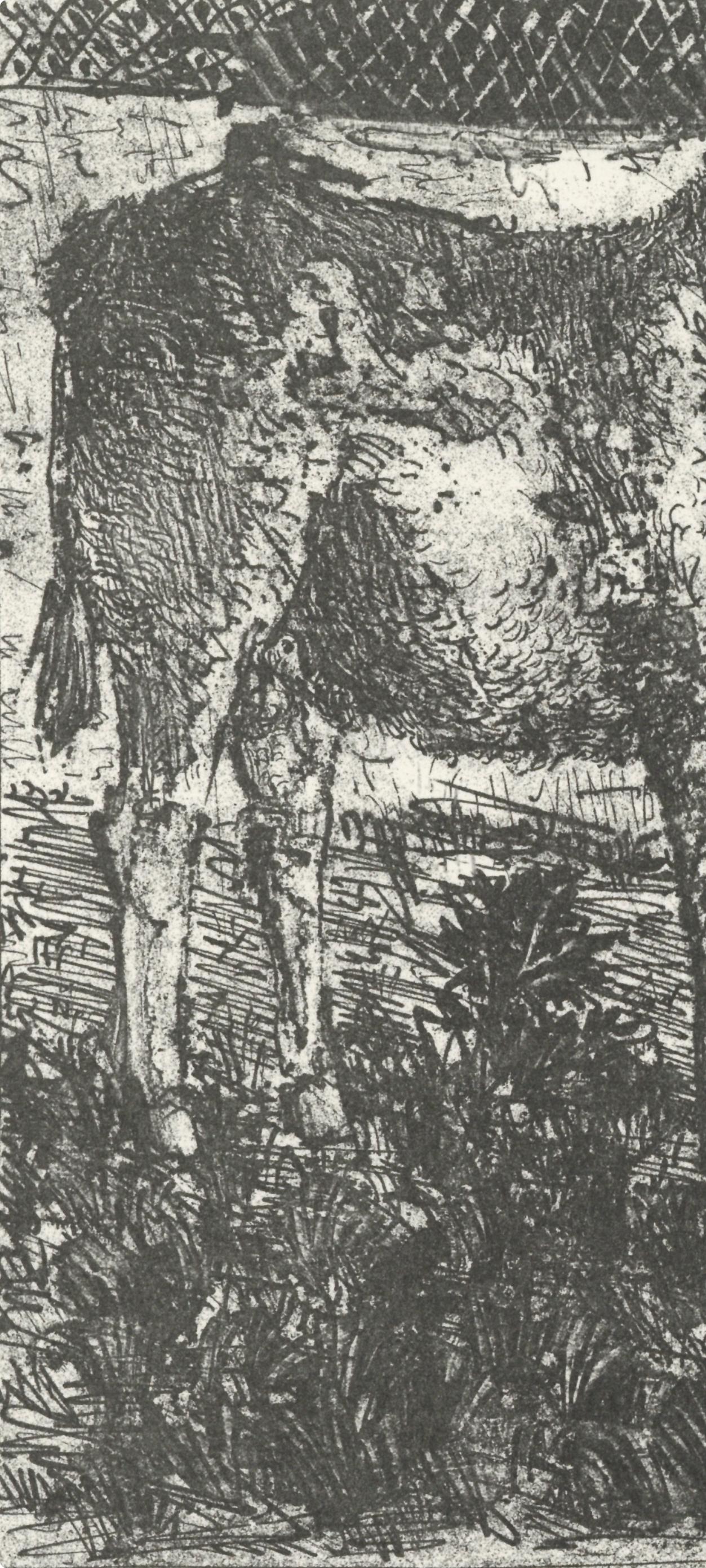 Picasso, L'Âne, Histoire naturelle (nach) (Grau), Animal Print, von Pablo Picasso