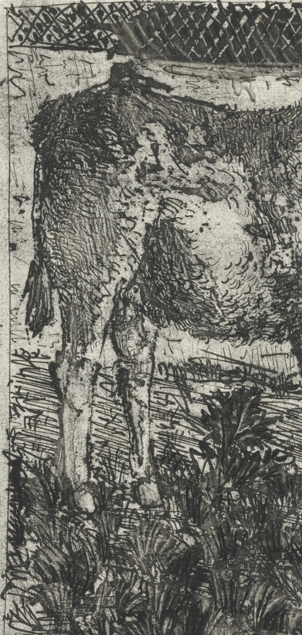 Picasso, L'Âne, Histoire naturelle (after) For Sale 1