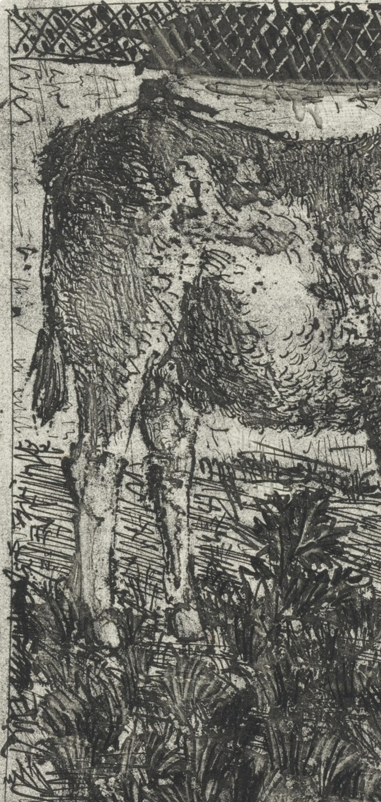 Lithographie sur papier bouffant des Papeteries de Casteljoux. Non signé et non numéroté, tel que publié. Bon état. Notes : D'après l'in-folio, Eaux-fortes originales pour des textes de Buffon (Histoire naturelle), 1970. Publié par Martin Fabiani,