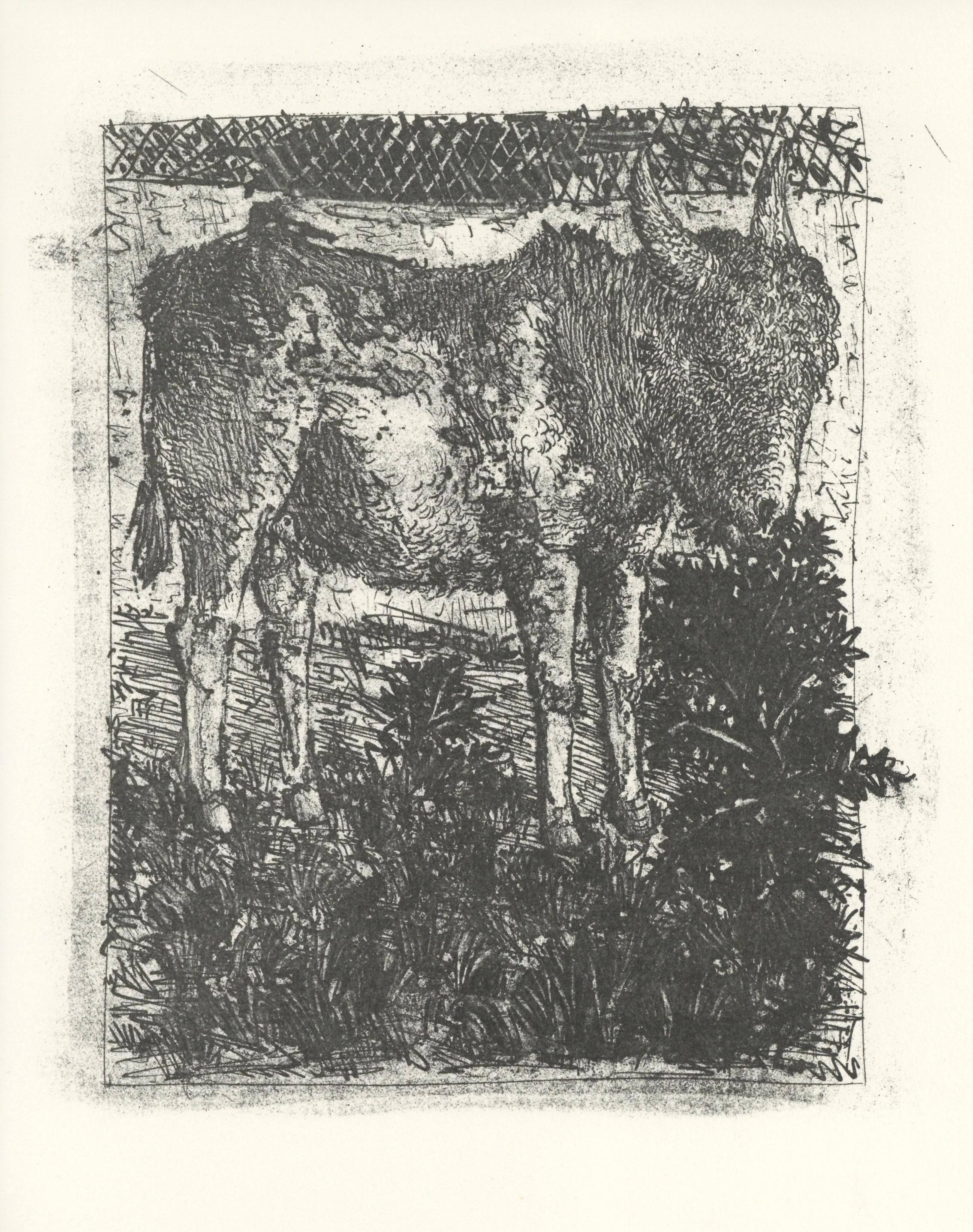 Lithographie auf Papier bouffant des Papeteries de Casteljoux. Unsigniert und nicht nummeriert, wie ausgegeben. Guter Zustand. Anmerkungen: Aus dem Folio, Eaux-fortes originale pour des textes de Buffon (Histoire naturelle), 1970. Herausgegeben von