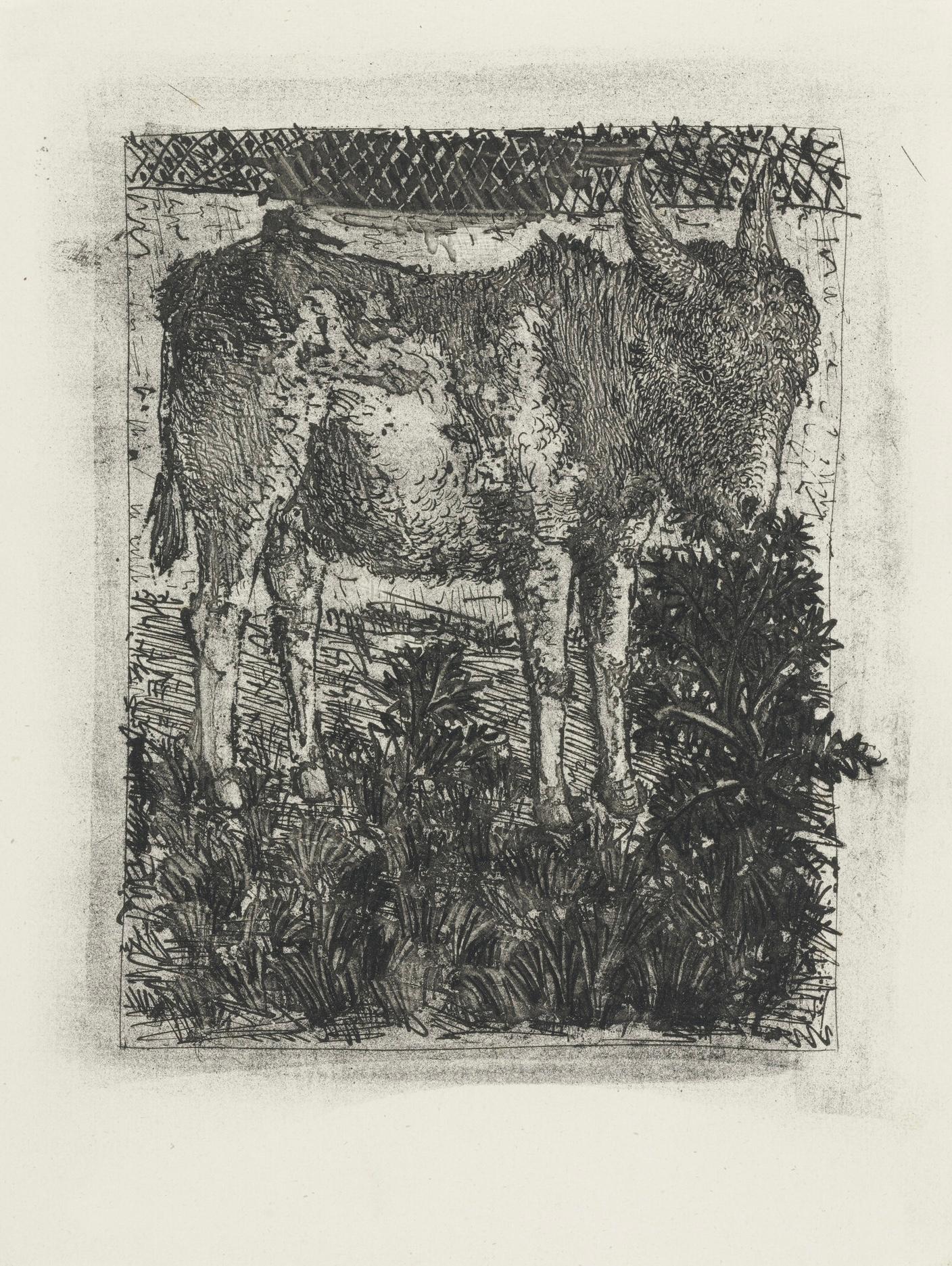 Picasso, L'Âne, Histoire naturelle (after) For Sale 3