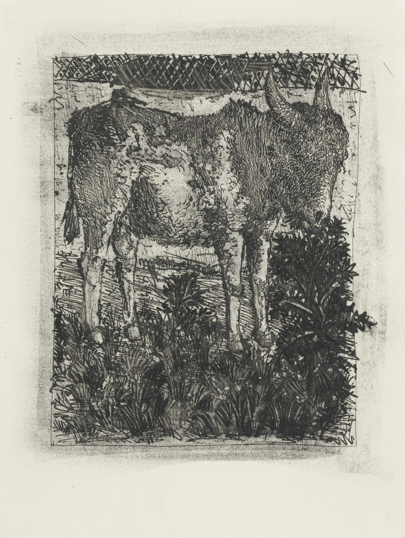 Picasso, L'Âne, Histoire naturelle (d'après) en vente 2