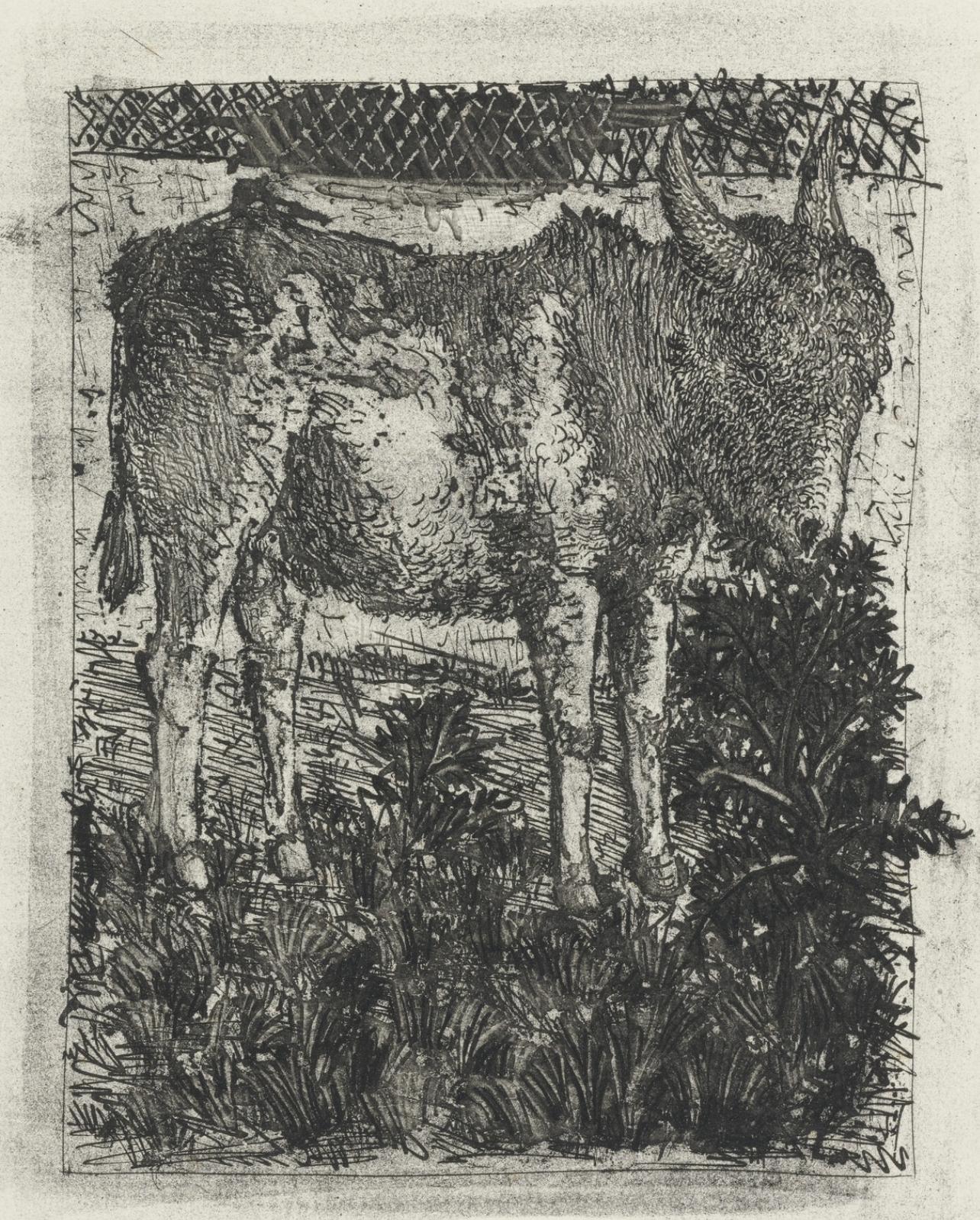 Pablo Picasso Landscape Print - Picasso, L'Âne, Histoire naturelle (after)