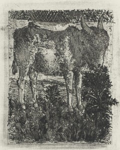 Picasso, L'Âne, Histoire naturelle (after)