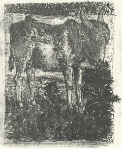 Picasso, L'Âne, Histoire naturelle (nach)