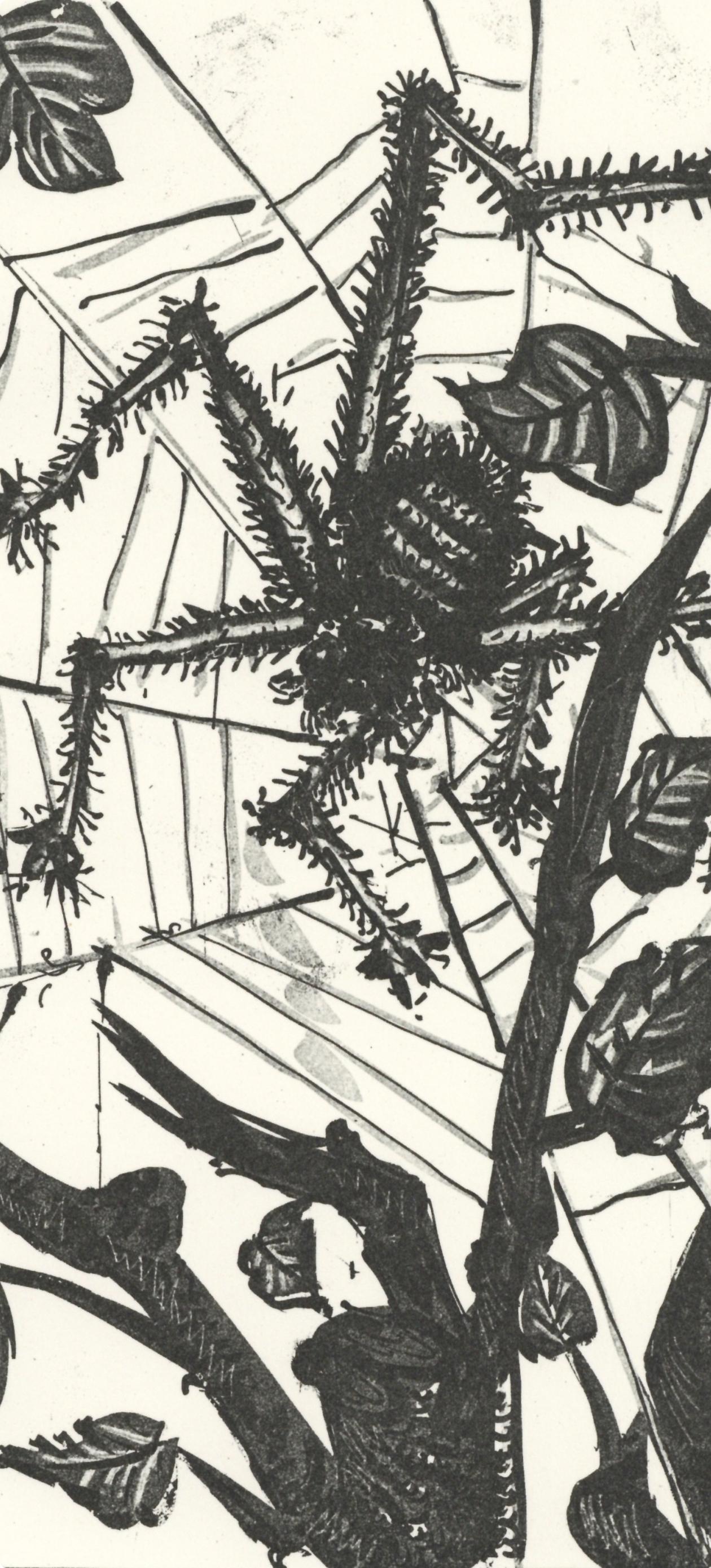 Picasso, L'Araignée, Histoire naturelle (after) - Print by Pablo Picasso