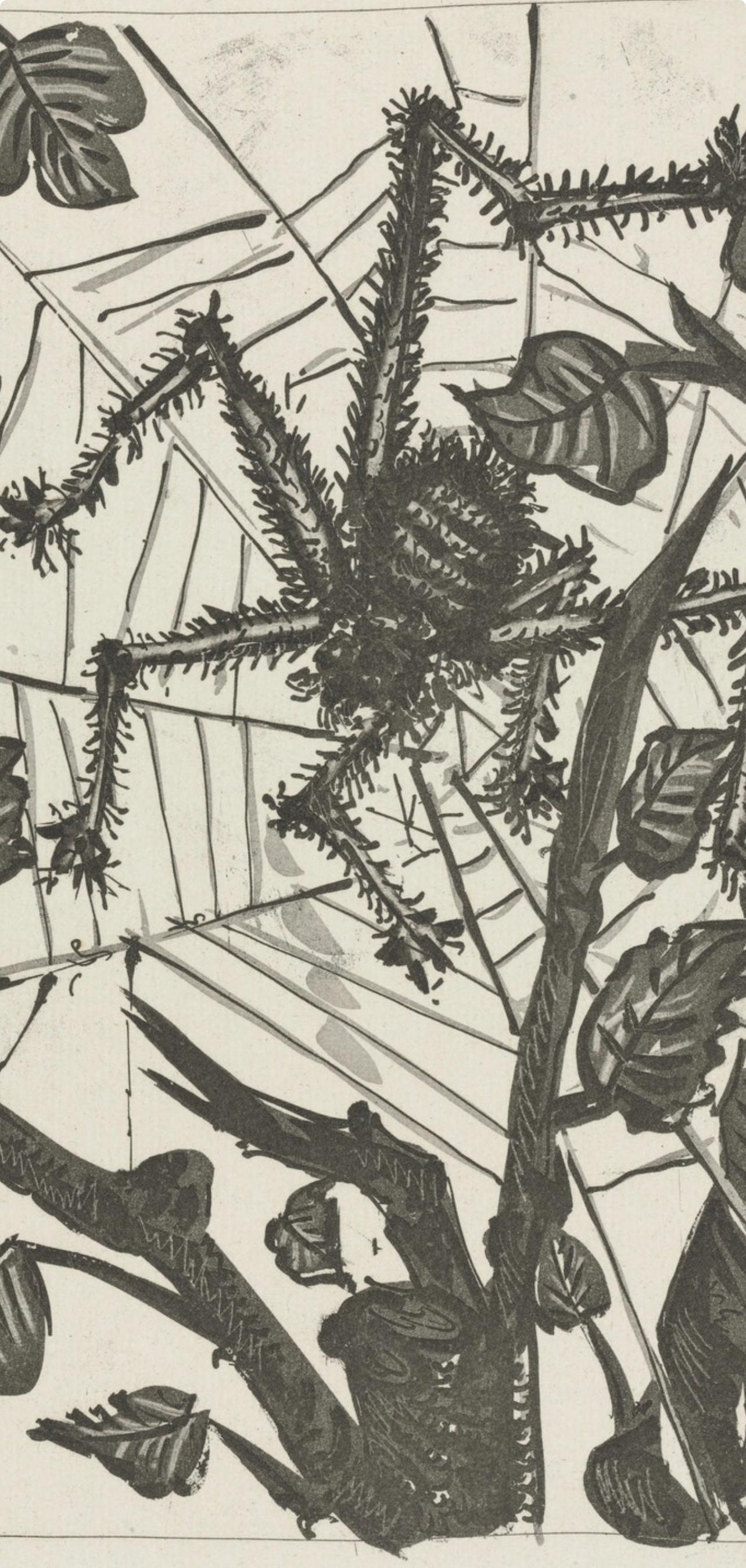 Picasso, L'Araignée, Histoire naturelle (nach) (Moderne), Print, von Pablo Picasso