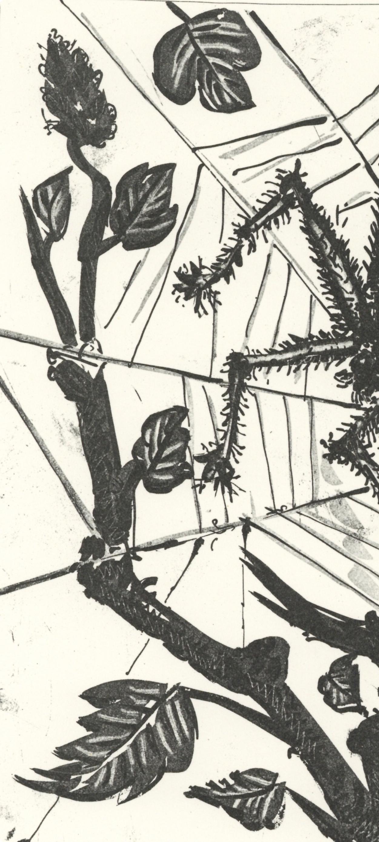 Picasso, L'Araignée, Histoire naturelle (after) - Cubist Print by Pablo Picasso