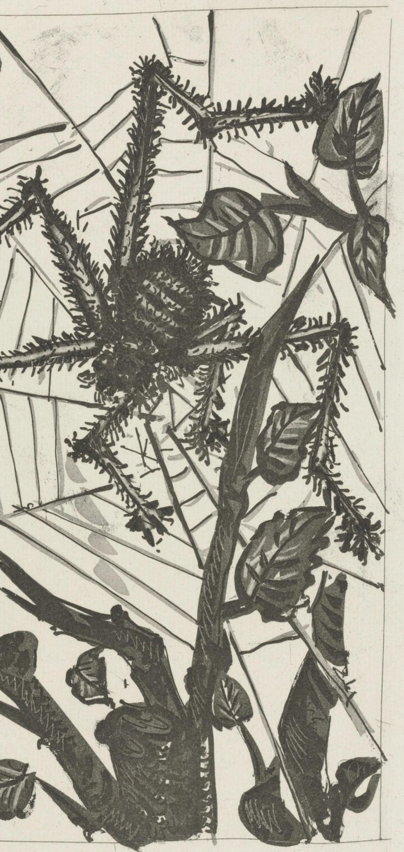 Picasso, L'Araignée, Histoire naturelle (nach) (Beige), Animal Print, von Pablo Picasso