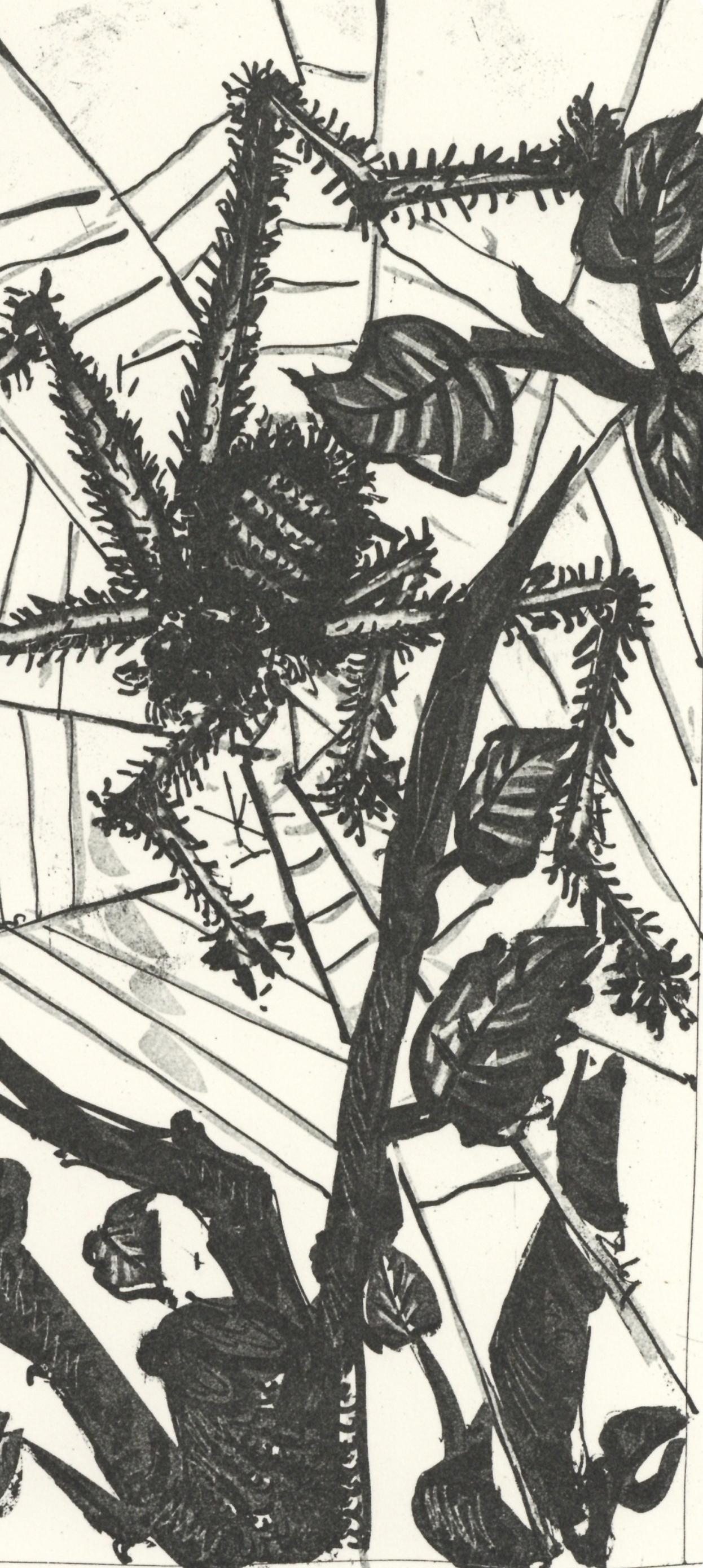 Picasso, L'Araignée, Histoire naturelle (after) - Beige Animal Print by Pablo Picasso